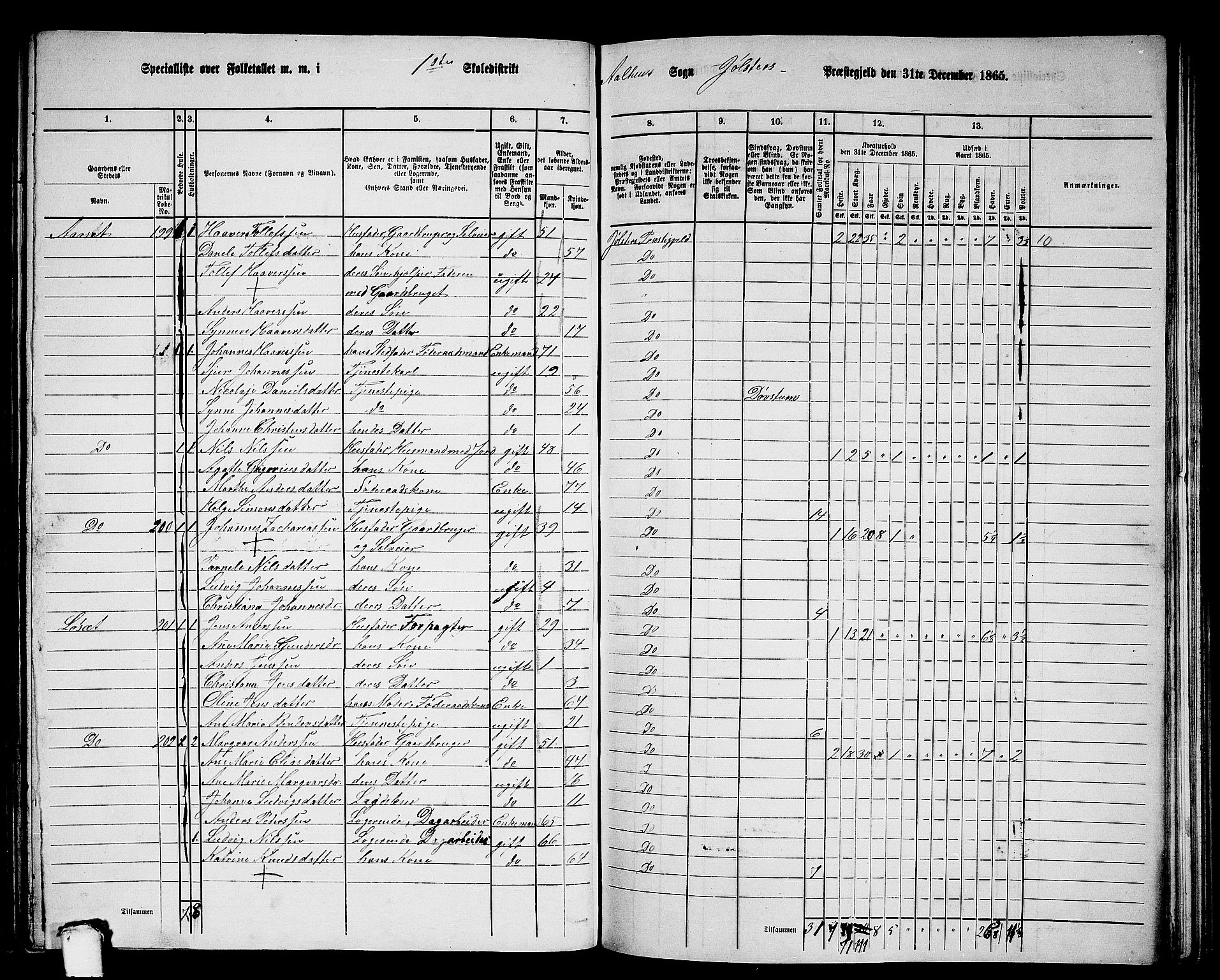 RA, 1865 census for Jølster, 1865, p. 106