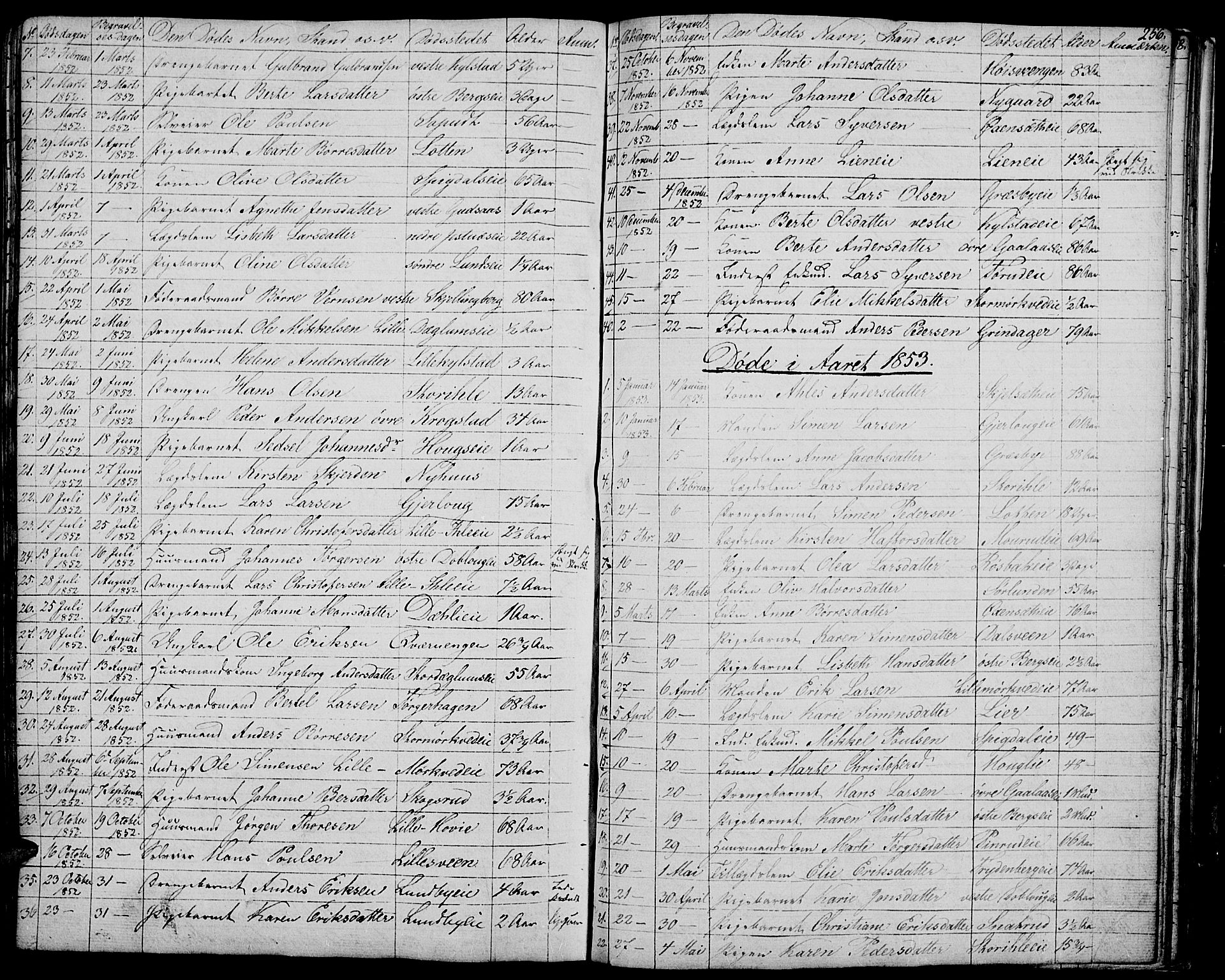 Vang prestekontor, Hedmark, SAH/PREST-008/H/Ha/Hab/L0009: Parish register (copy) no. 9, 1836-1870, p. 256