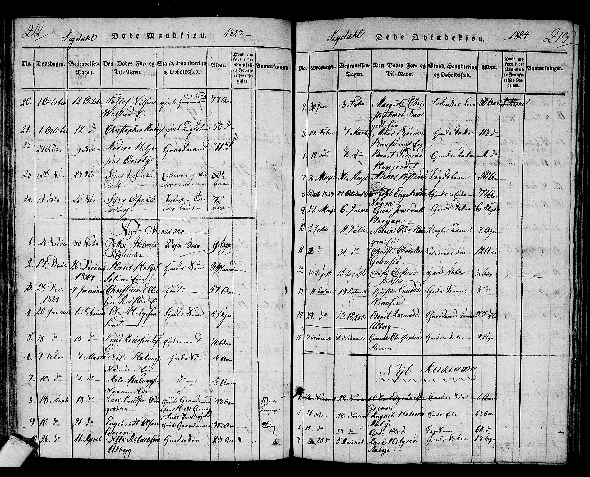 Sigdal kirkebøker, SAKO/A-245/F/Fa/L0005: Parish register (official) no. I 5 /1, 1815-1829, p. 212-213