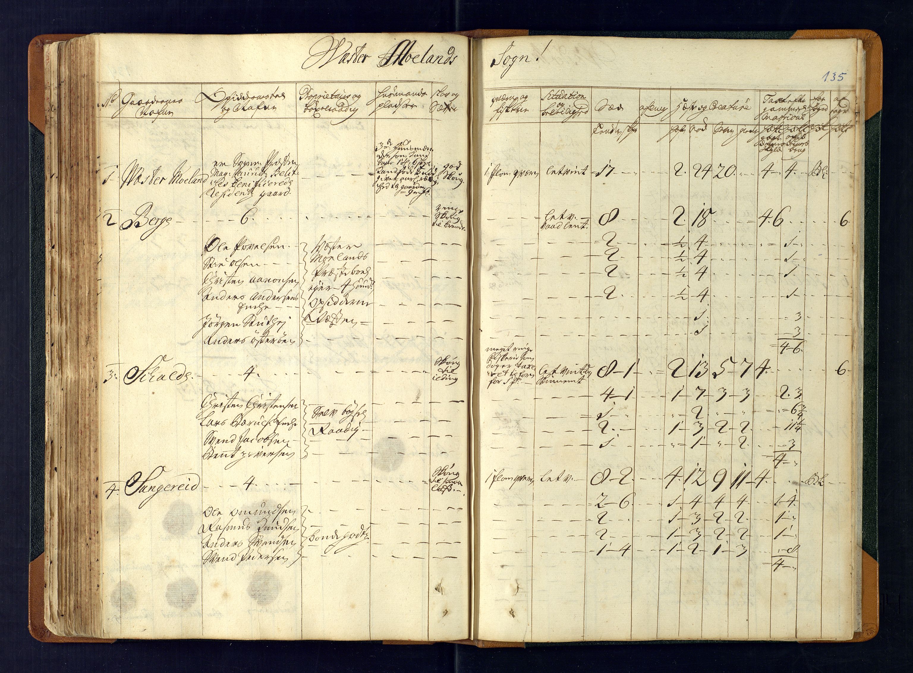 Nedenes fogderi, AV/SAK-1242-0006/Hb/L0481: Matrikkel, eksaminasjonsprotokoll, 1723, p. 134b-135a