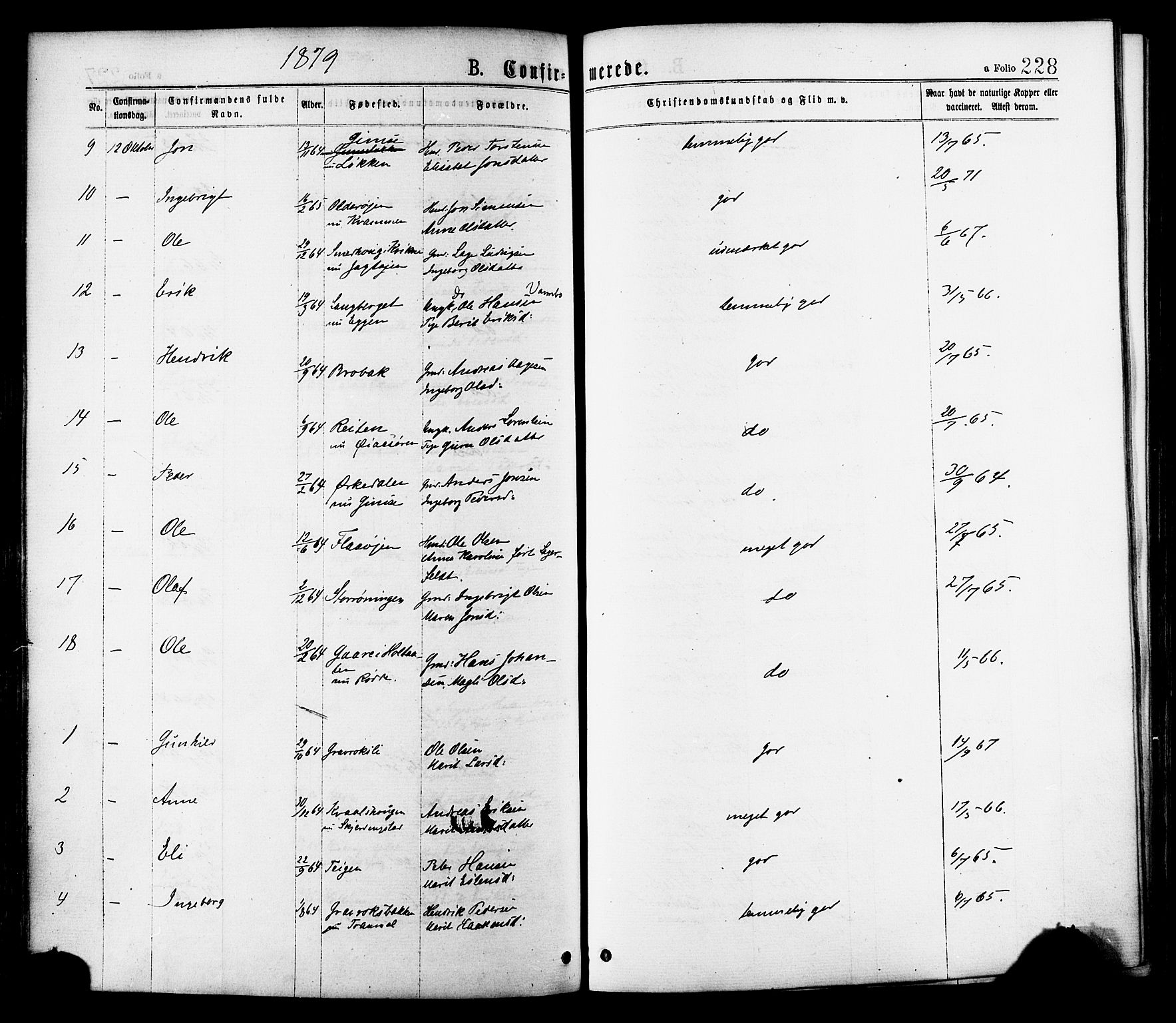 Ministerialprotokoller, klokkerbøker og fødselsregistre - Sør-Trøndelag, AV/SAT-A-1456/691/L1079: Parish register (official) no. 691A11, 1873-1886, p. 228