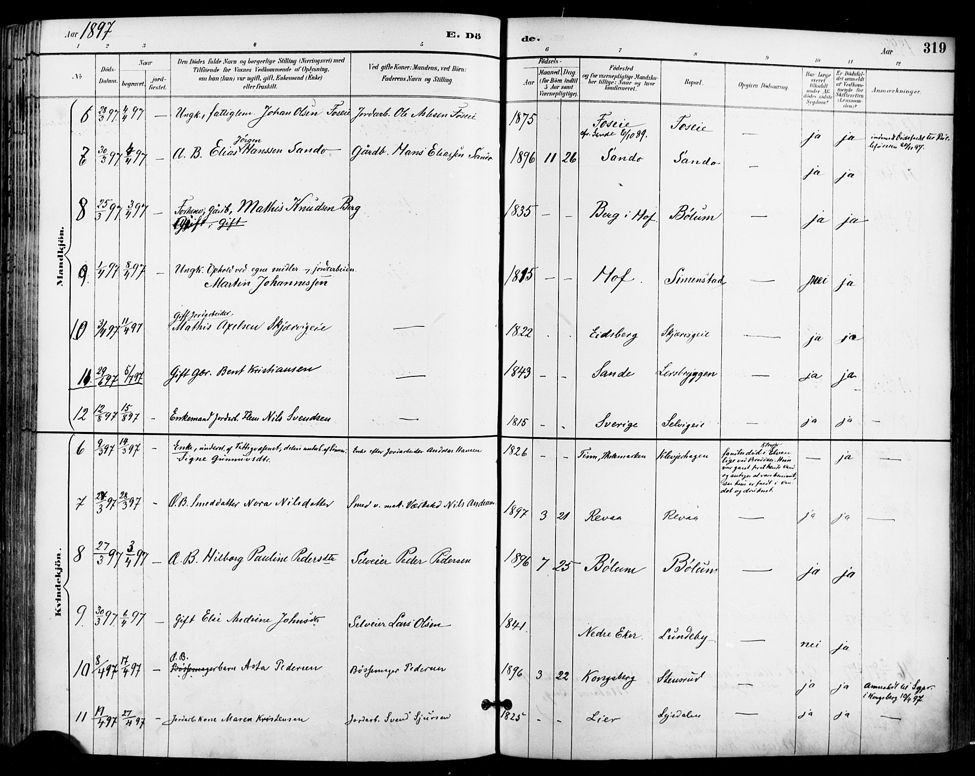 Sande Kirkebøker, AV/SAKO-A-53/F/Fa/L0007: Parish register (official) no. 7, 1888-1903, p. 319