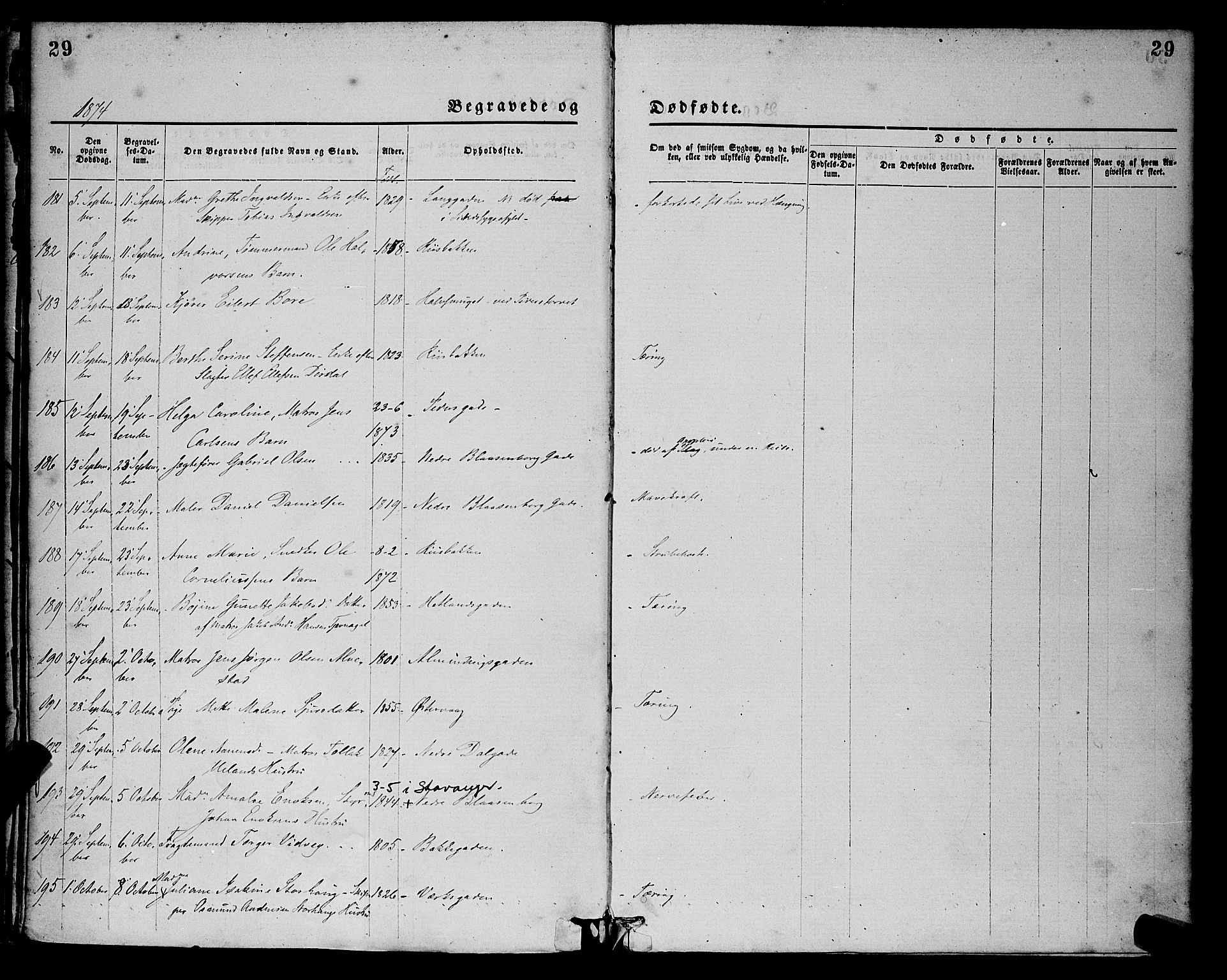 St. Petri sokneprestkontor, AV/SAST-A-101813/001/30/30BA/L0012: Parish register (official) no. A 12, 1873-1878, p. 29