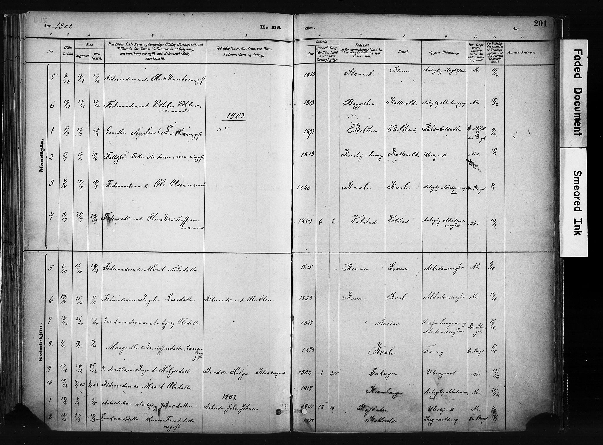 Vang prestekontor, Valdres, AV/SAH-PREST-140/H/Ha/L0008: Parish register (official) no. 8, 1882-1910, p. 201