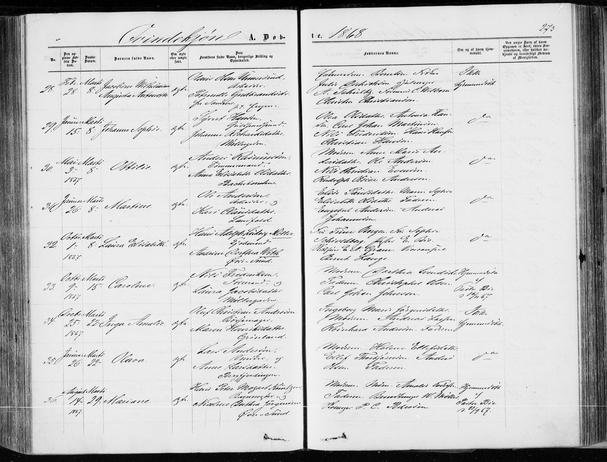 Bragernes kirkebøker, AV/SAKO-A-6/F/Fb/L0003: Parish register (official) no. II 3, 1860-1868, p. 273