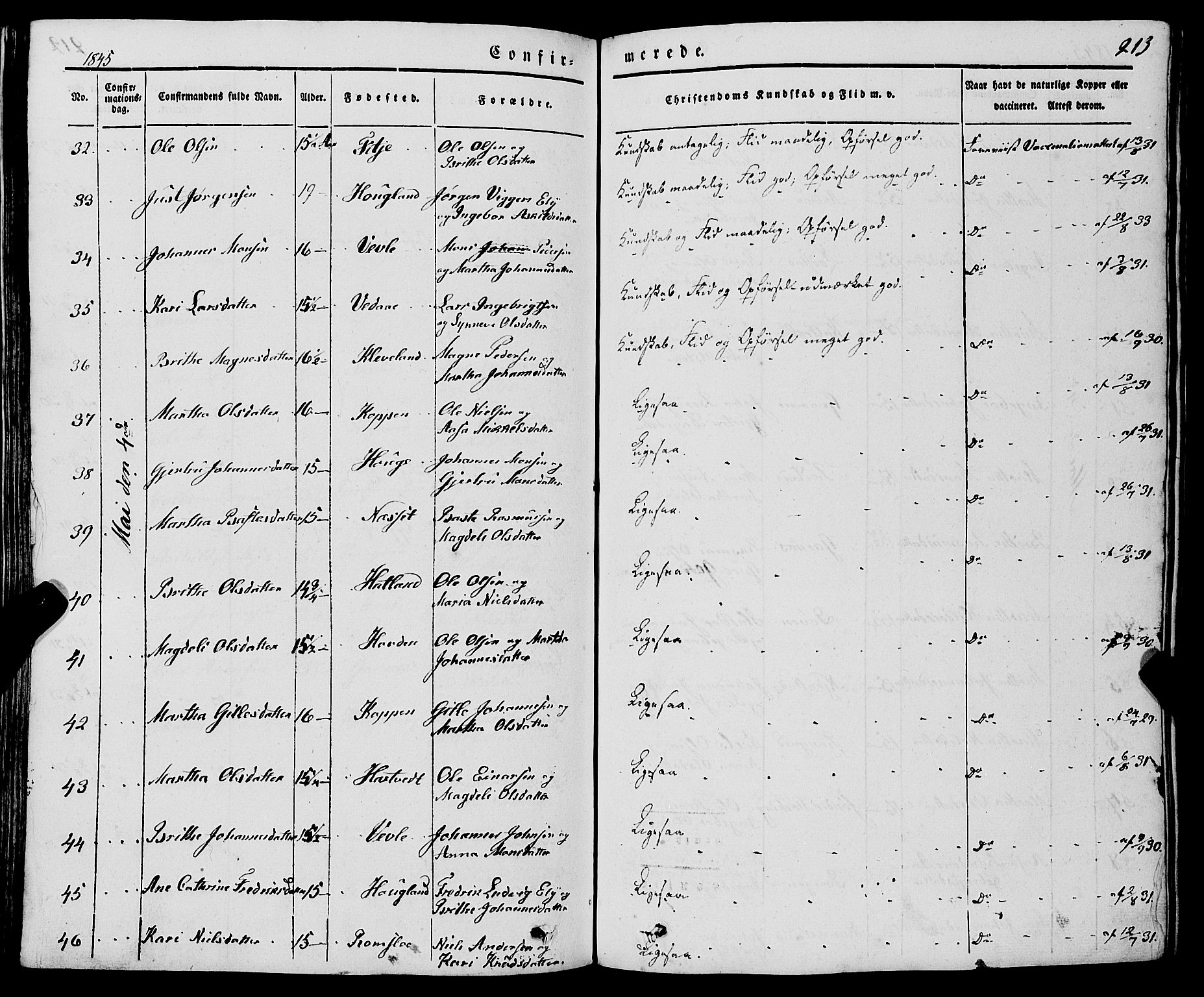 Haus sokneprestembete, AV/SAB-A-75601/H/Haa: Parish register (official) no. A 15, 1838-1847, p. 213