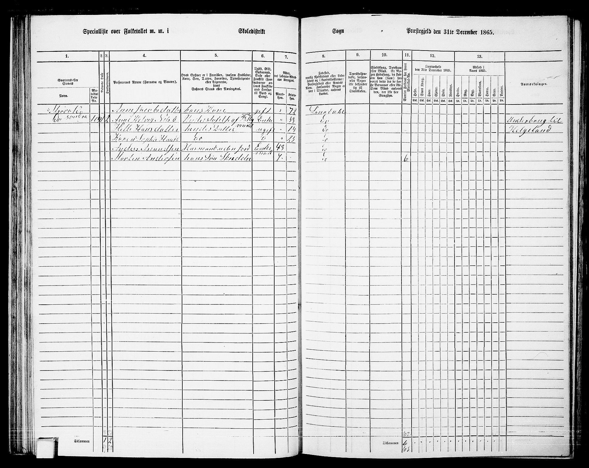 RA, 1865 census for Lardal, 1865, p. 47