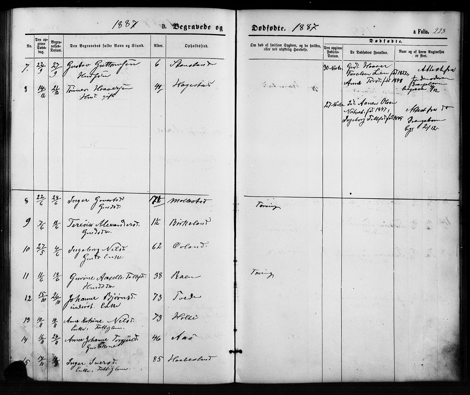 Birkenes sokneprestkontor, SAK/1111-0004/F/Fb/L0003: Parish register (copy) no. B 3, 1876-1892, p. 228