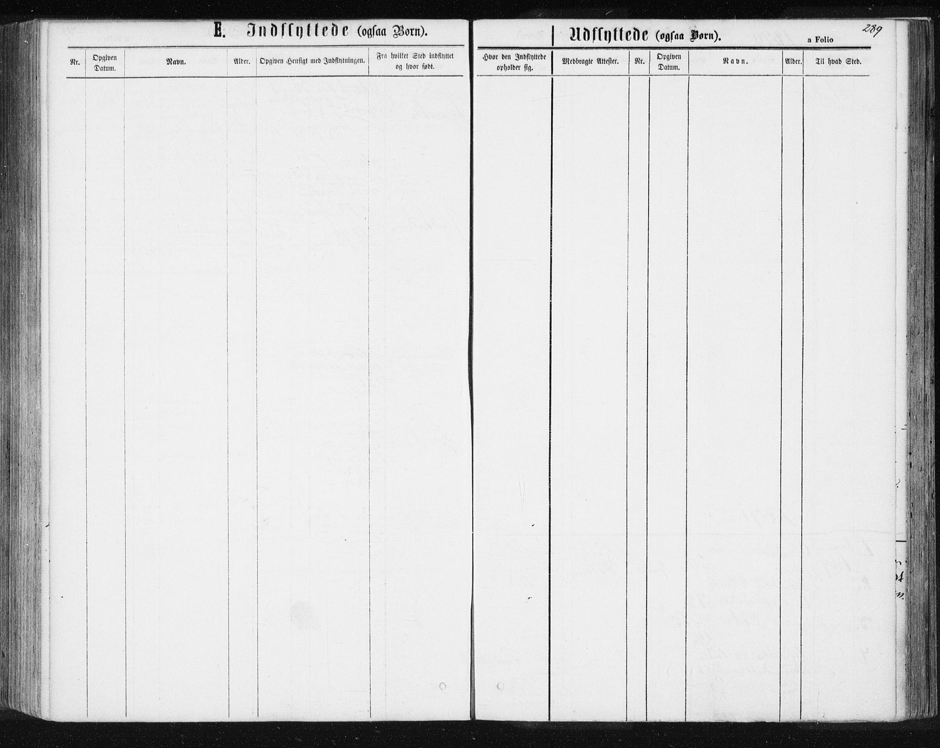 Ministerialprotokoller, klokkerbøker og fødselsregistre - Sør-Trøndelag, AV/SAT-A-1456/685/L0970: Parish register (official) no. 685A08 /2, 1870-1878, p. 289