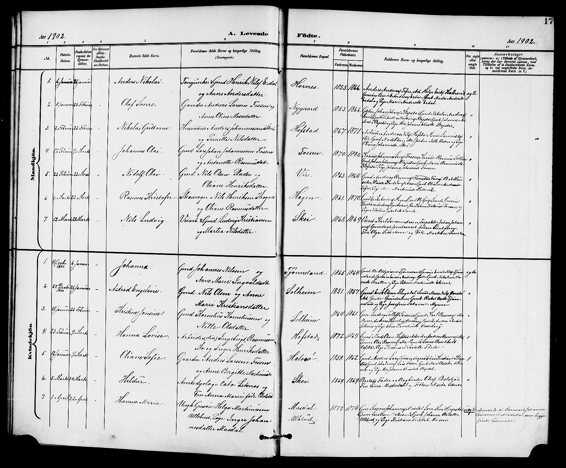 Førde sokneprestembete, SAB/A-79901/H/Hab/Haba/L0003: Parish register (copy) no. A 3, 1899-1924, p. 17