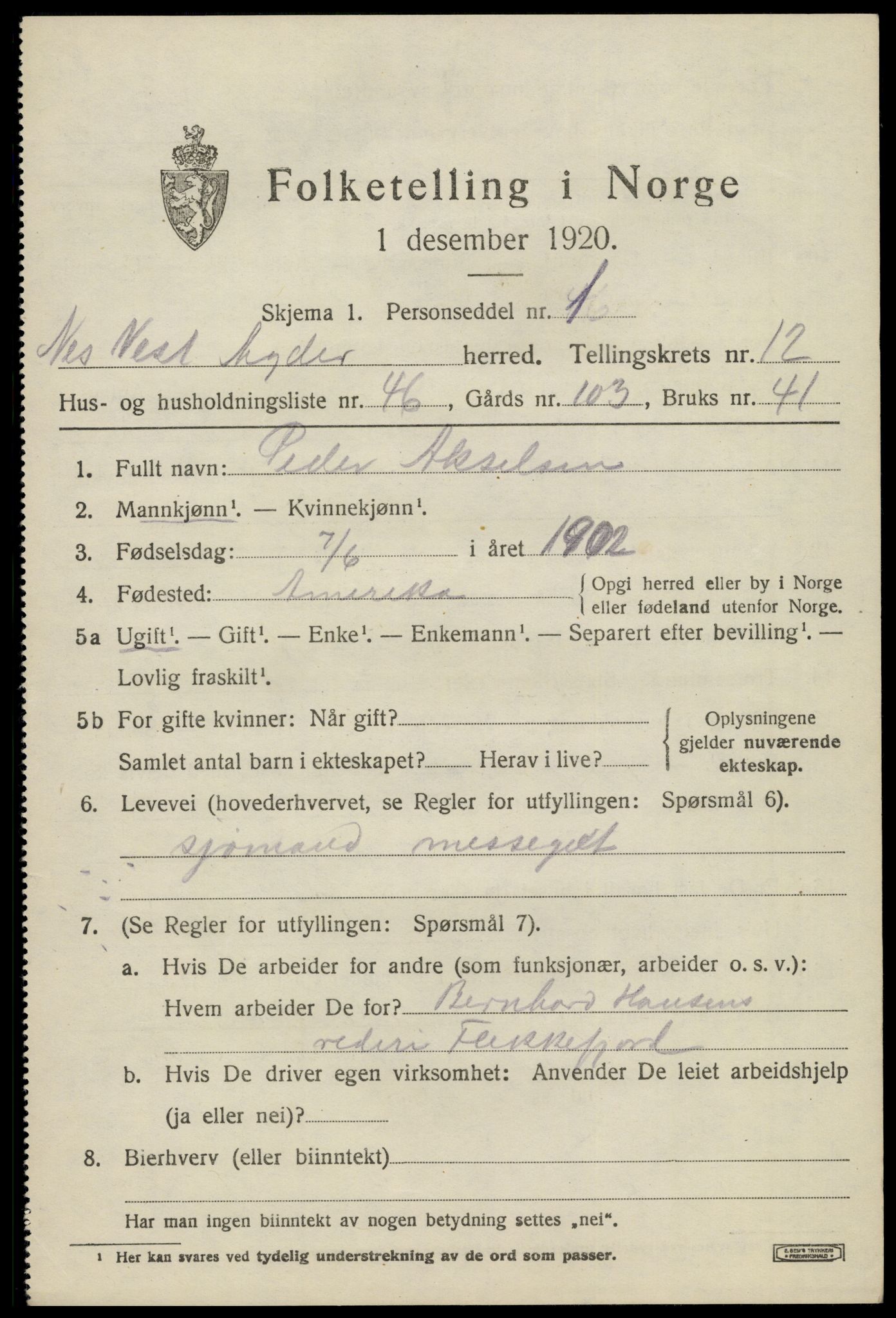 SAK, 1920 census for Nes (V-A), 1920, p. 4822