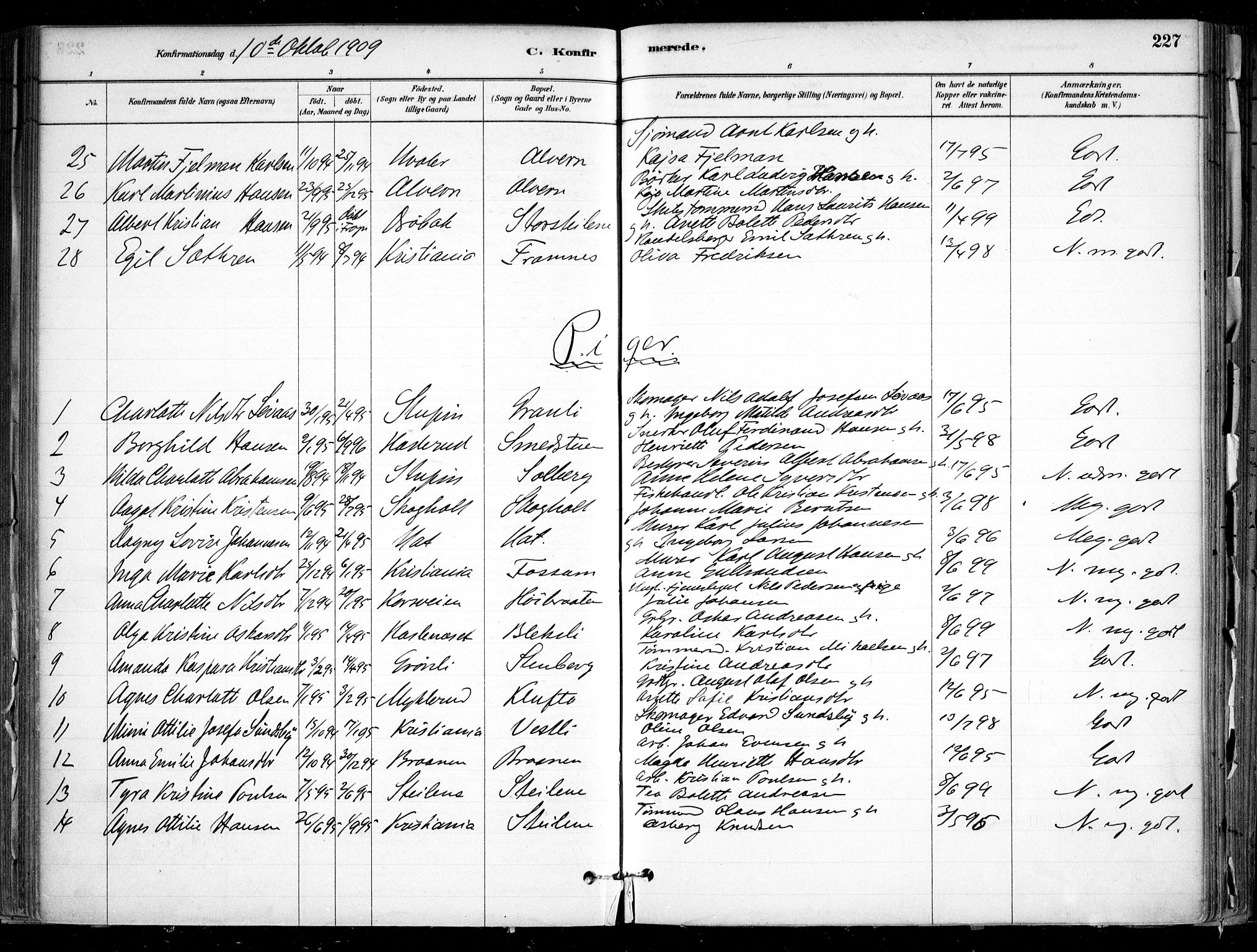 Nesodden prestekontor Kirkebøker, SAO/A-10013/F/Fa/L0009: Parish register (official) no. I 9, 1880-1915, p. 227