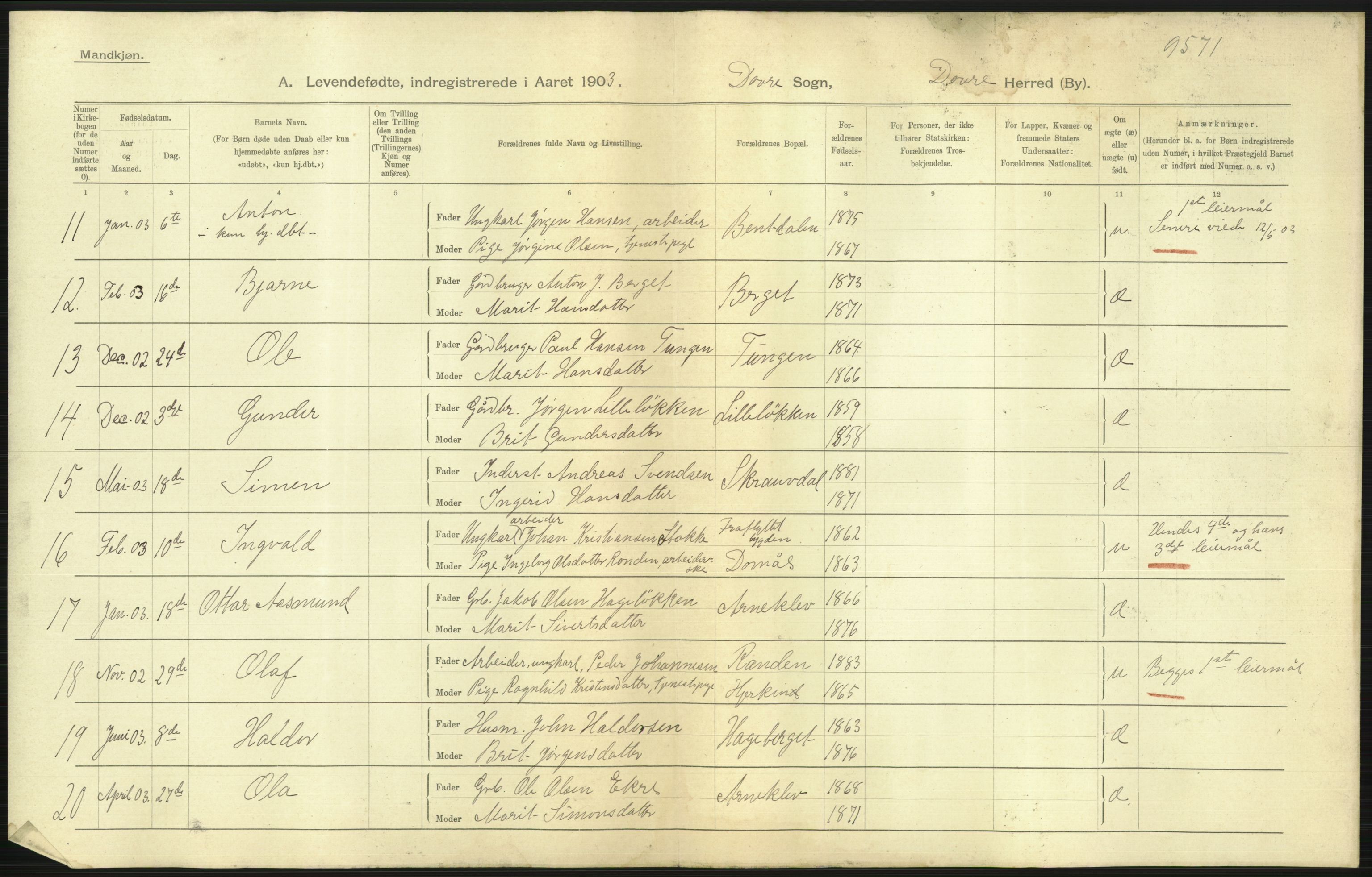 Statistisk sentralbyrå, Sosiodemografiske emner, Befolkning, AV/RA-S-2228/D/Df/Dfa/Dfaa/L0006: Kristians amt: Fødte, gifte, døde, 1903, p. 5