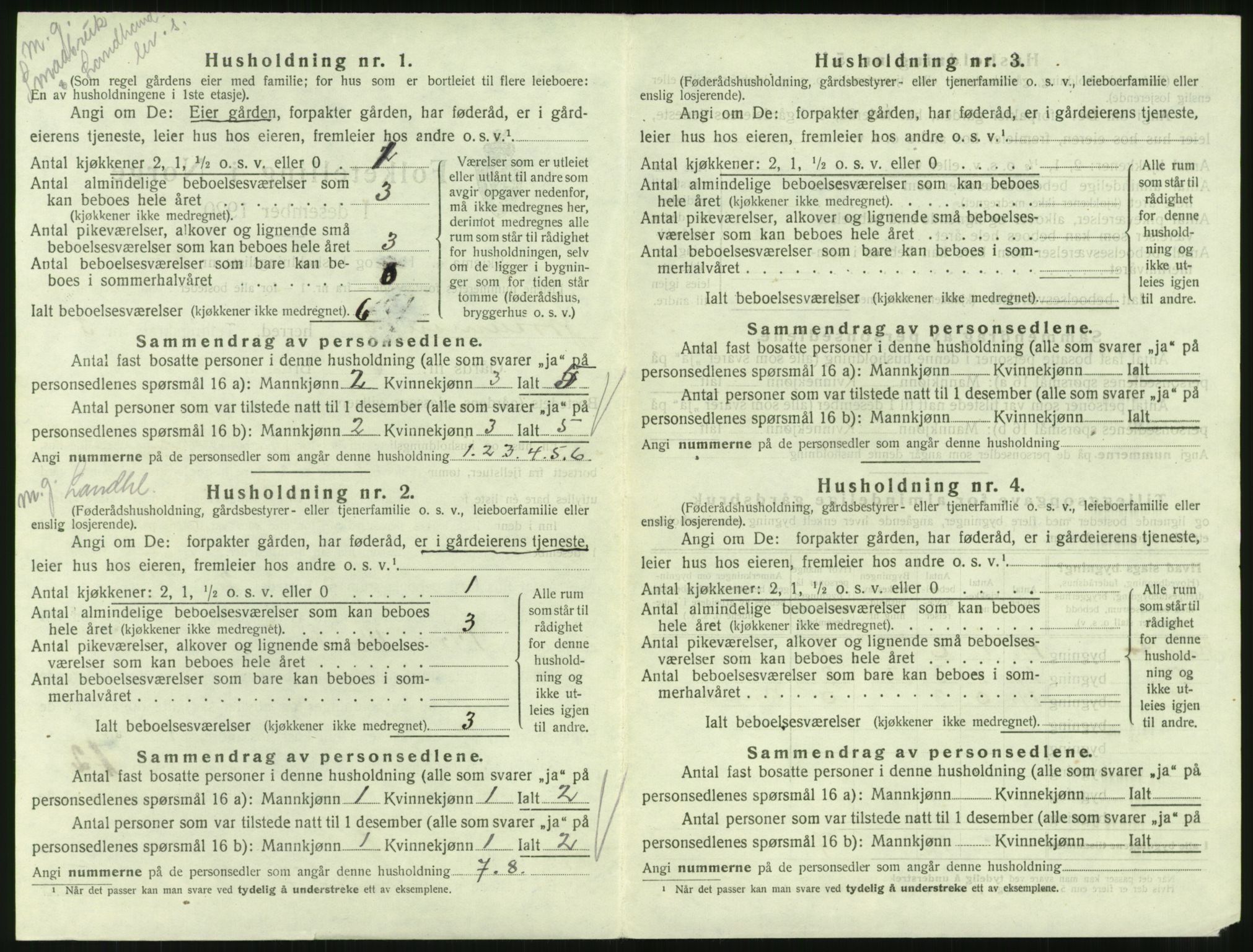 SAT, 1920 census for Straumsnes, 1920, p. 222