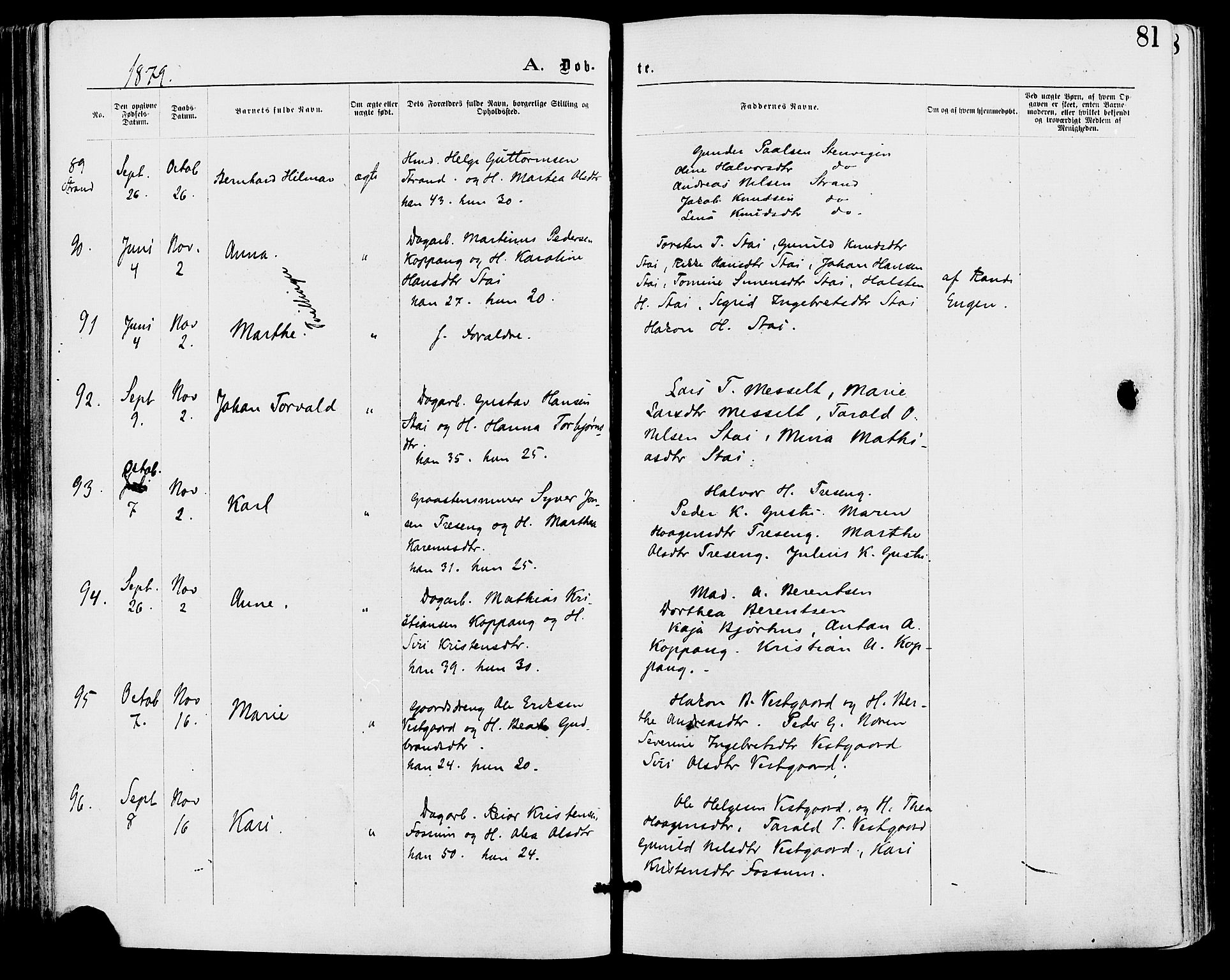 Stor-Elvdal prestekontor, AV/SAH-PREST-052/H/Ha/Haa/L0001: Parish register (official) no. 1, 1871-1882, p. 81