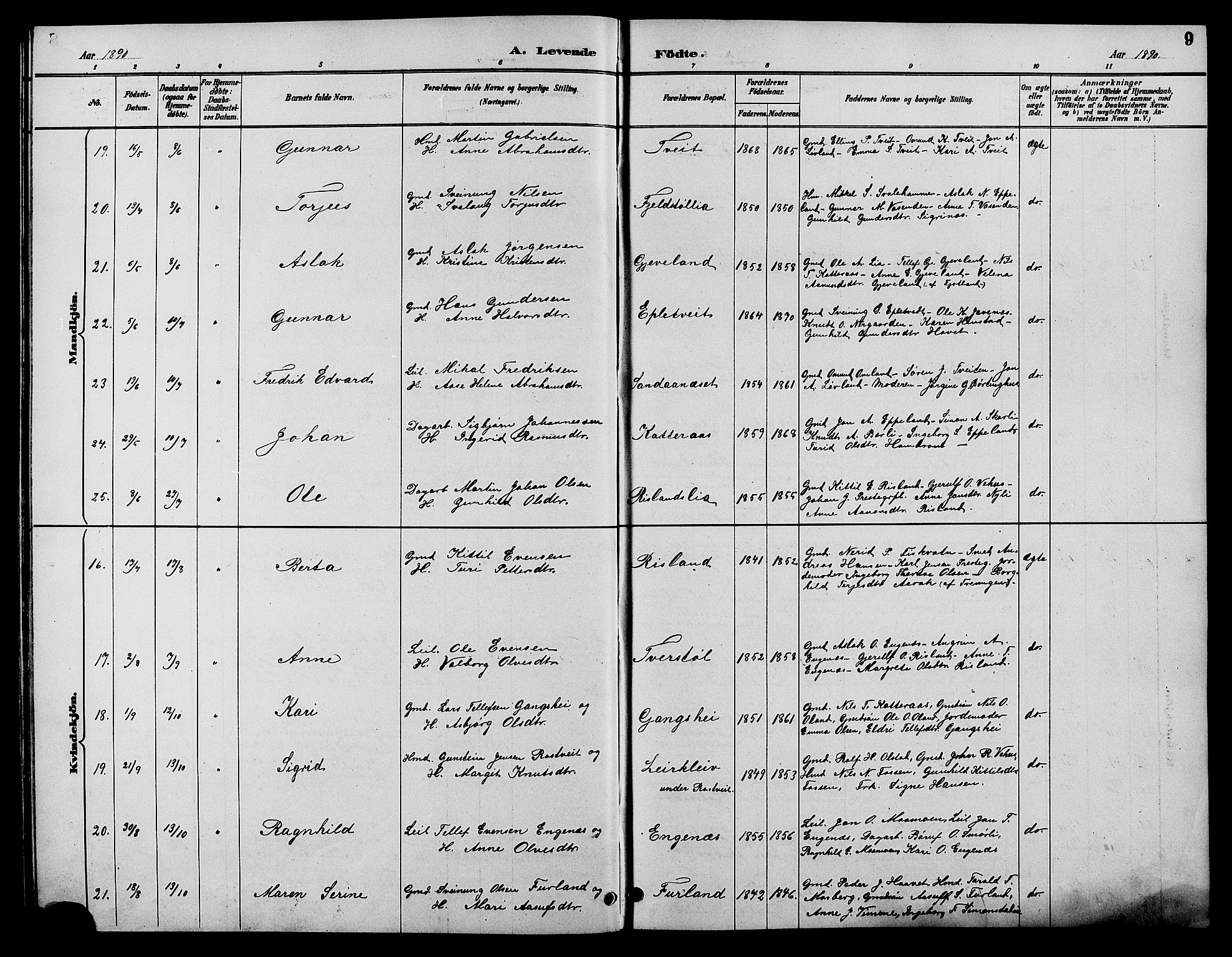 Åmli sokneprestkontor, SAK/1111-0050/F/Fb/Fbc/L0004: Parish register (copy) no. B 4, 1889-1902, p. 9