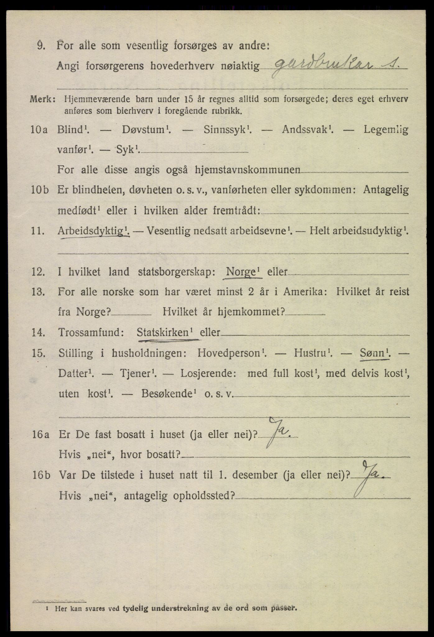 SAH, 1920 census for Lom, 1920, p. 4155