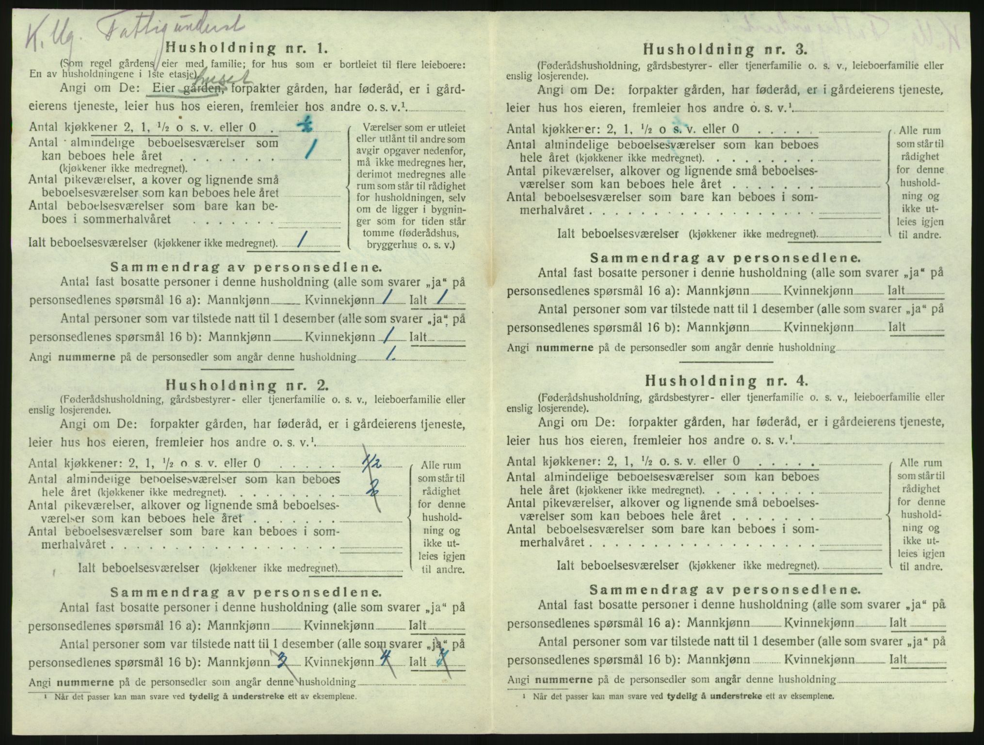 SAKO, 1920 census for Brunlanes, 1920, p. 1716