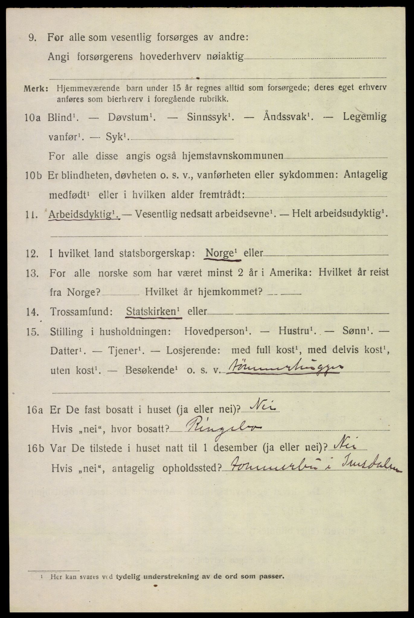 SAH, 1920 census for Stor-Elvdal, 1920, p. 4901