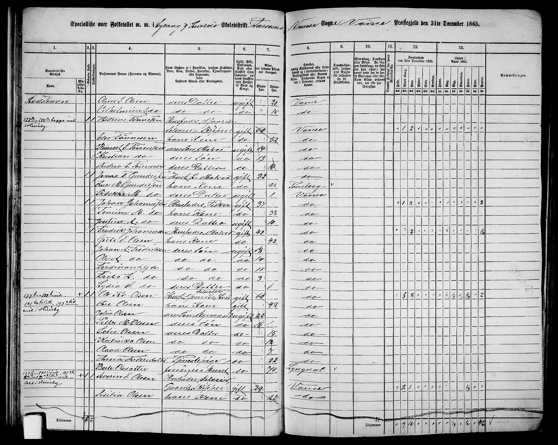 RA, 1865 census for Vanse/Vanse og Farsund, 1865, p. 34