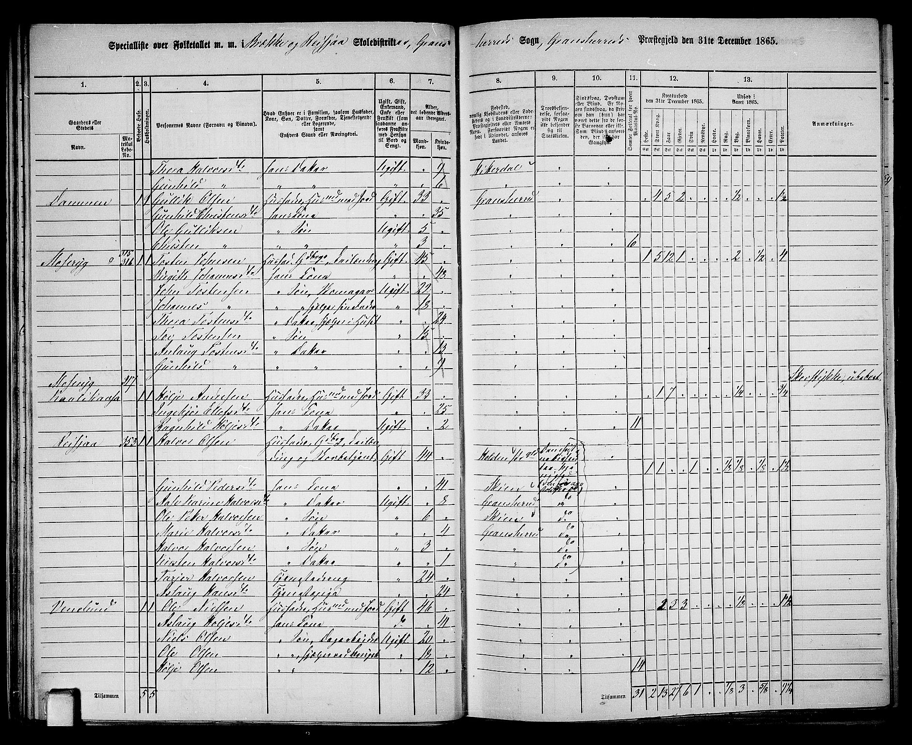 RA, 1865 census for Gransherad, 1865, p. 30