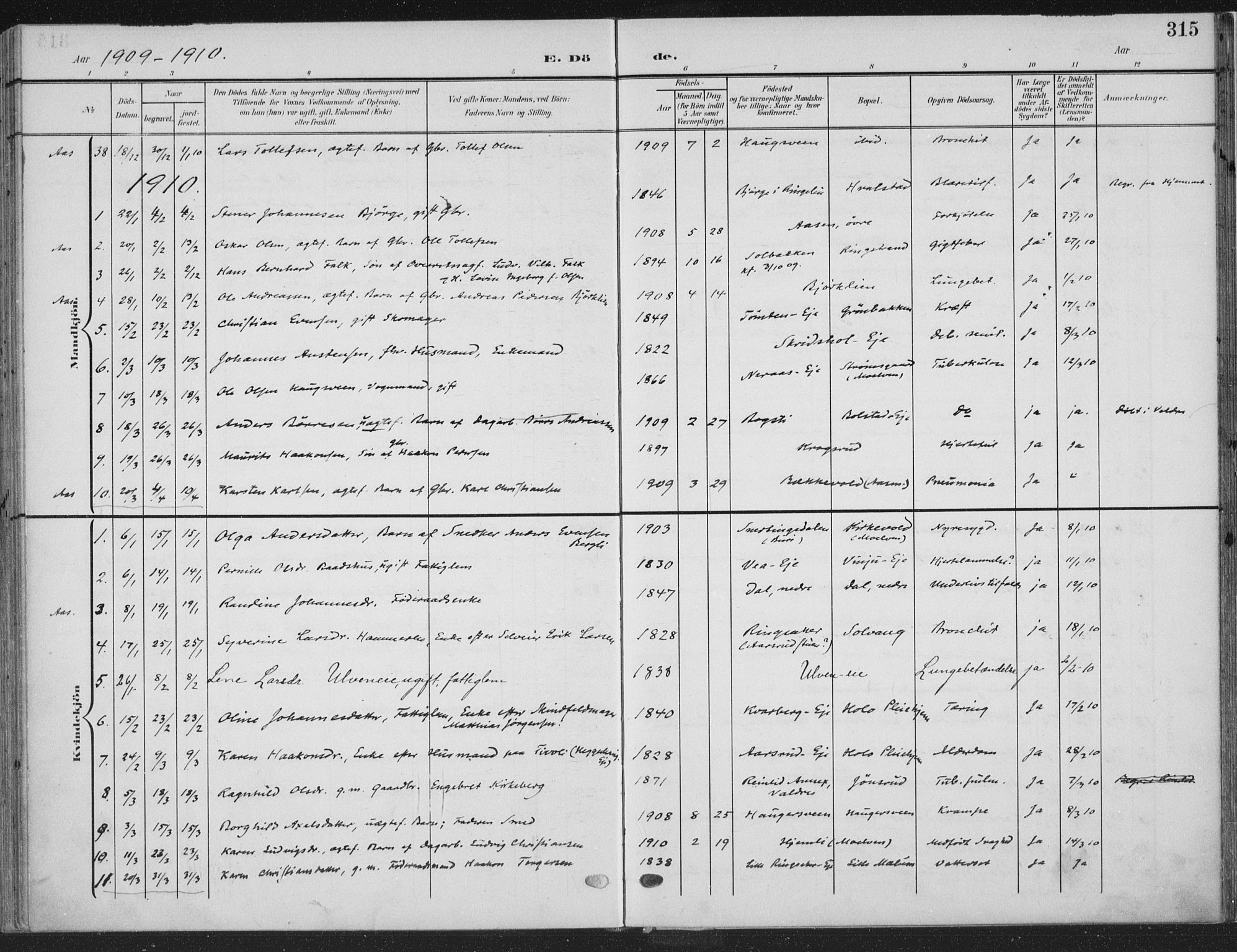 Ringsaker prestekontor, SAH/PREST-014/K/Ka/L0018: Parish register (official) no. 18, 1903-1912, p. 315