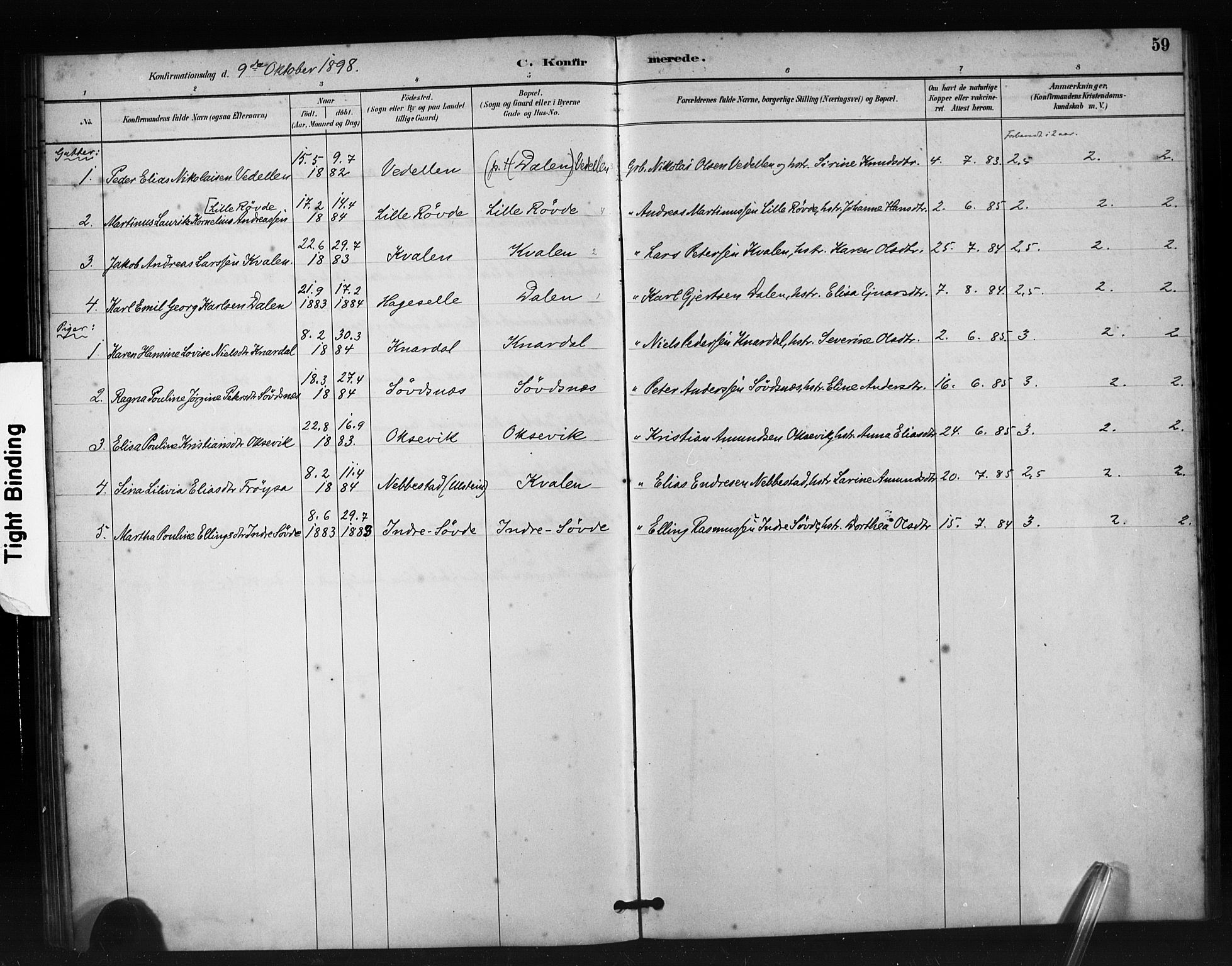 Ministerialprotokoller, klokkerbøker og fødselsregistre - Møre og Romsdal, AV/SAT-A-1454/504/L0056: Parish register (official) no. 504A03, 1884-1904, p. 59