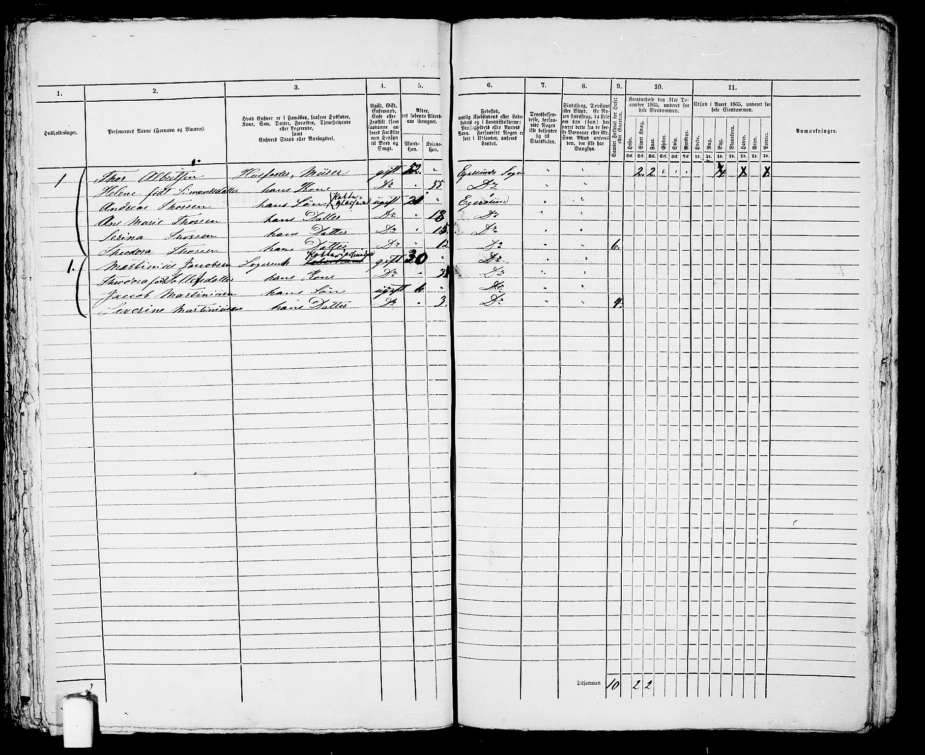 RA, 1865 census for Eigersund parish, Egersund town, 1865, p. 462