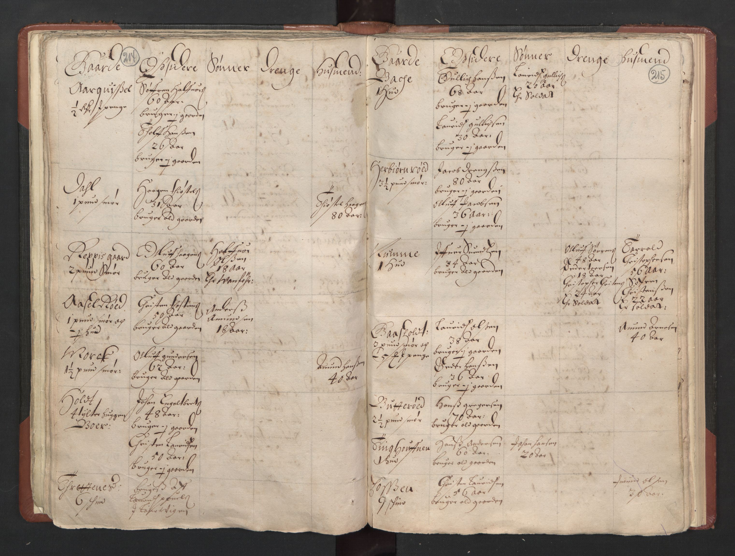 RA, Bailiff's Census 1664-1666, no. 5: Modern Buskerud county and modern Vestfold county, 1664, p. 214-215