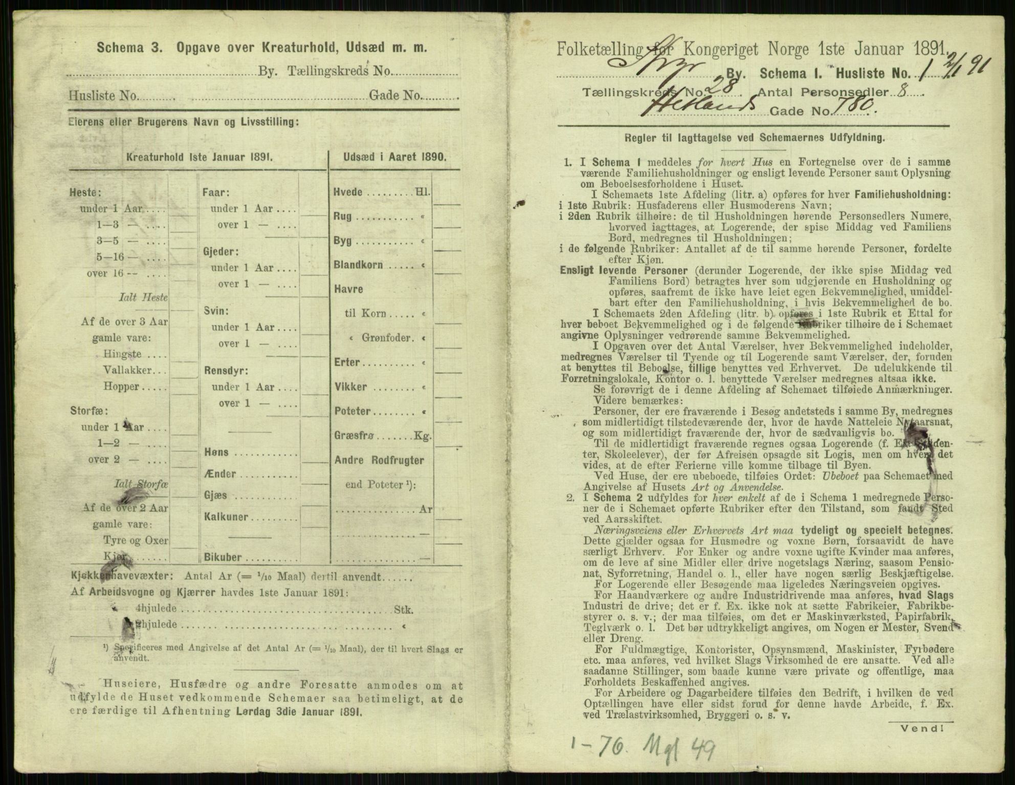 RA, 1891 census for 1103 Stavanger, 1891, p. 4979