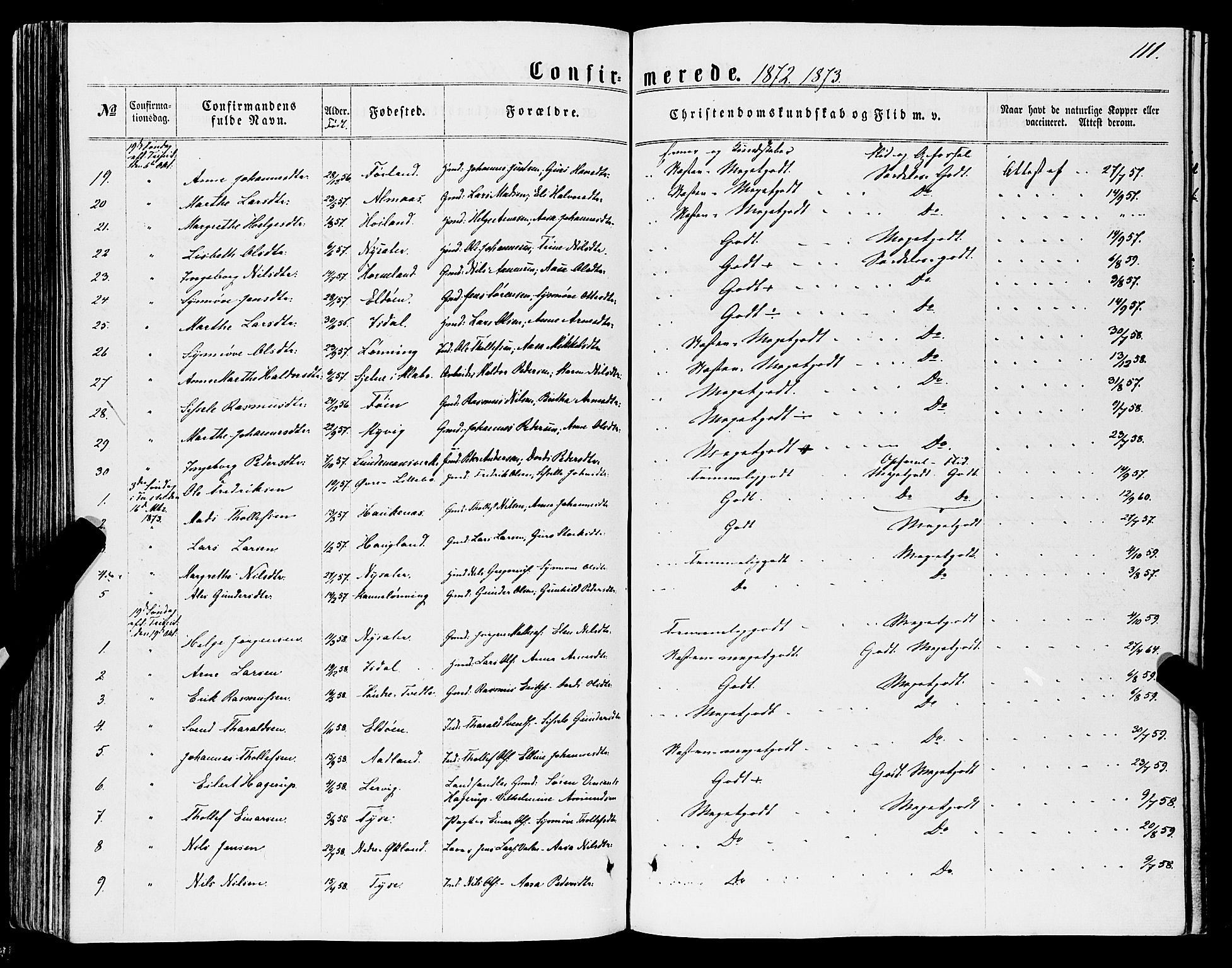 Stord sokneprestembete, AV/SAB-A-78201/H/Haa: Parish register (official) no. B 1, 1862-1877, p. 111