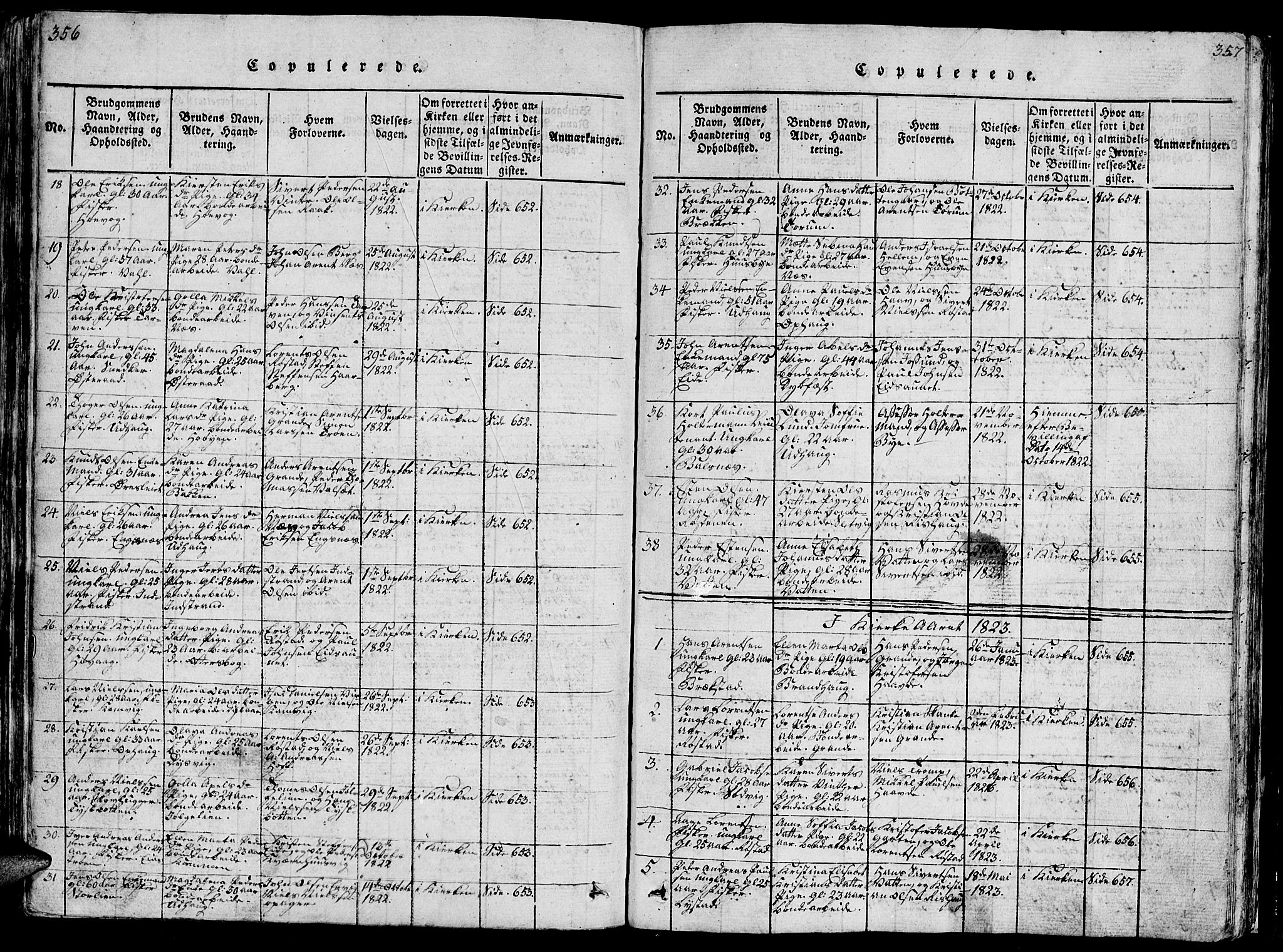 Ministerialprotokoller, klokkerbøker og fødselsregistre - Sør-Trøndelag, SAT/A-1456/659/L0744: Parish register (copy) no. 659C01, 1818-1825, p. 356-357