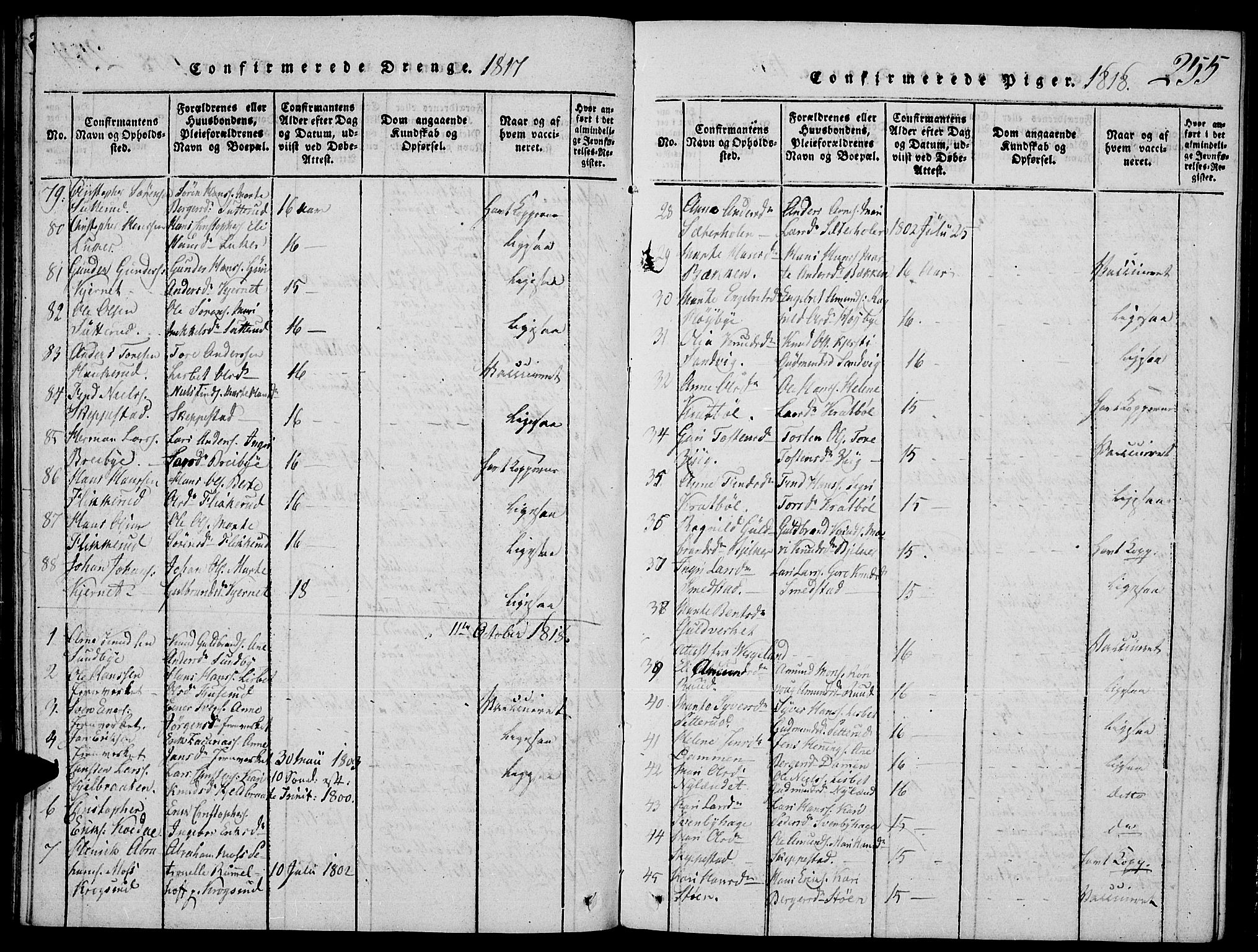Strøm-Odalen prestekontor, SAH/PREST-028/H/Ha/Hab/L0001: Parish register (copy) no. 1, 1813-1825, p. 255