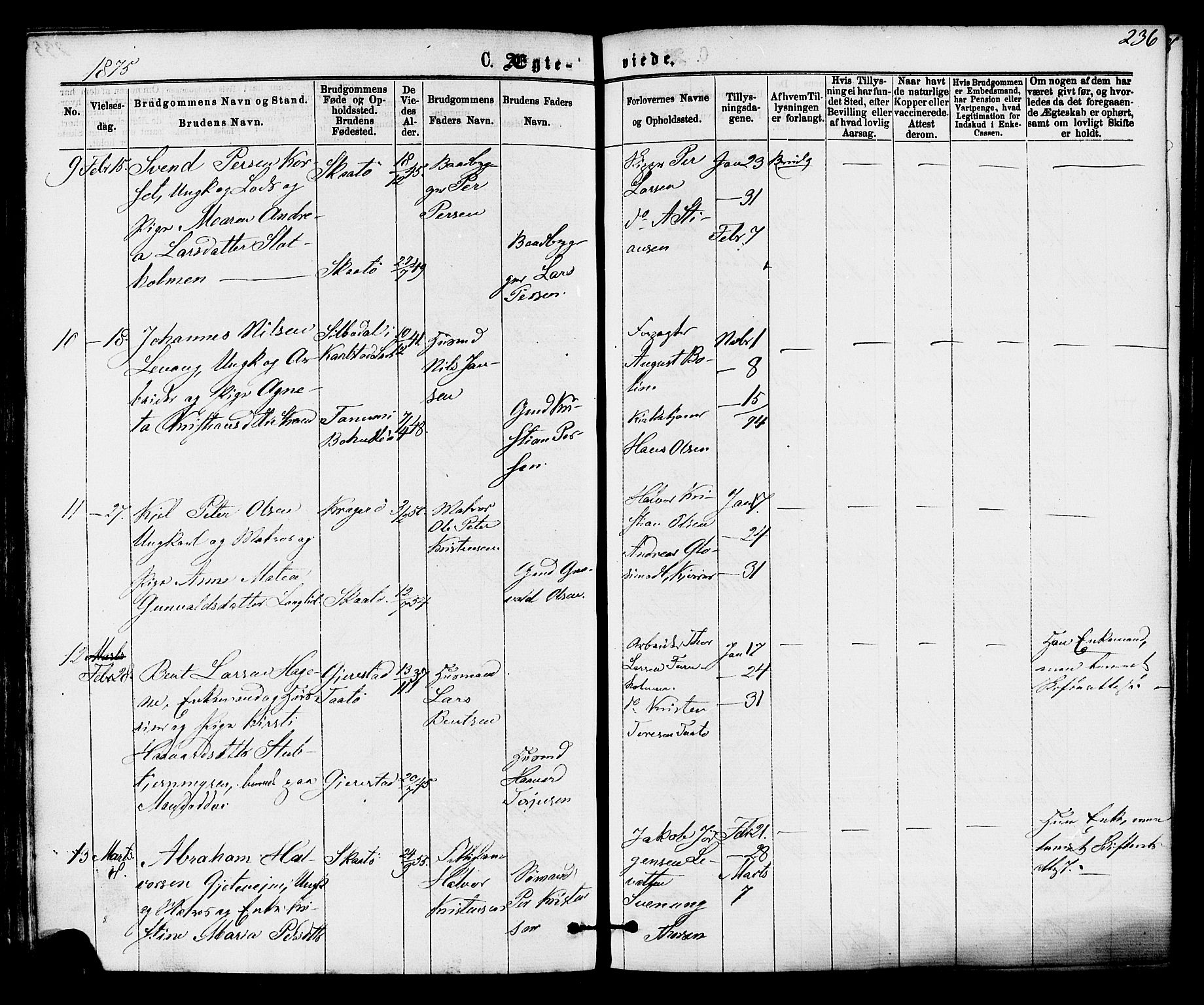 Skåtøy kirkebøker, SAKO/A-304/F/Fa/L0001: Parish register (official) no. I 1, 1874-1883, p. 236