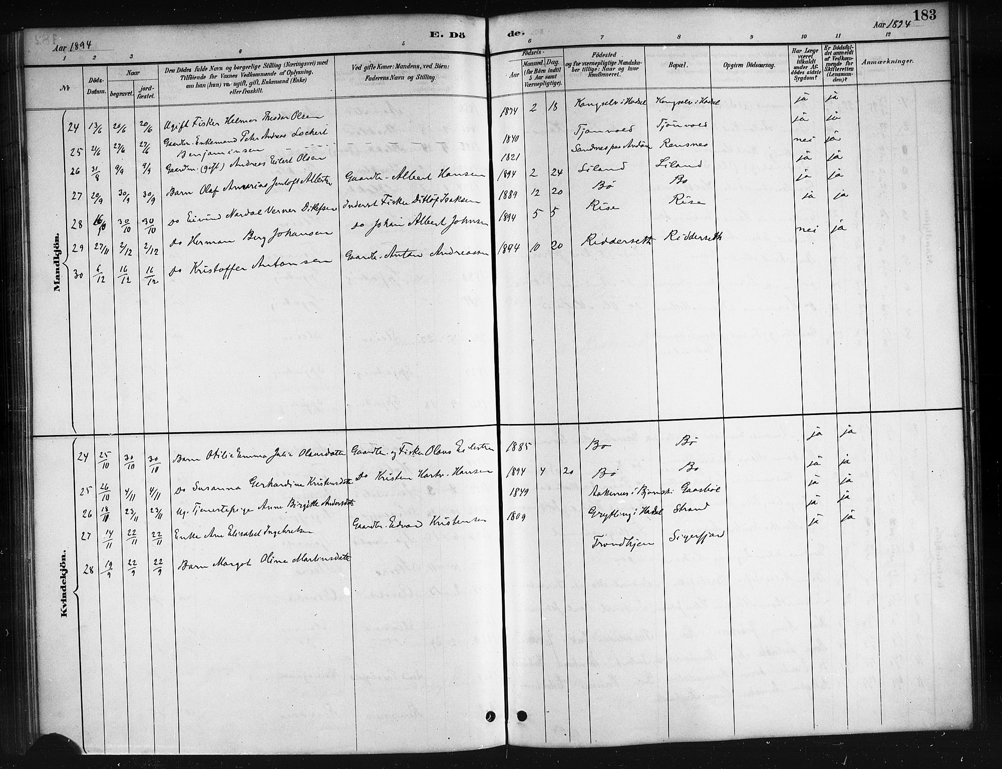 Ministerialprotokoller, klokkerbøker og fødselsregistre - Nordland, AV/SAT-A-1459/895/L1382: Parish register (copy) no. 895C04, 1885-1896, p. 183