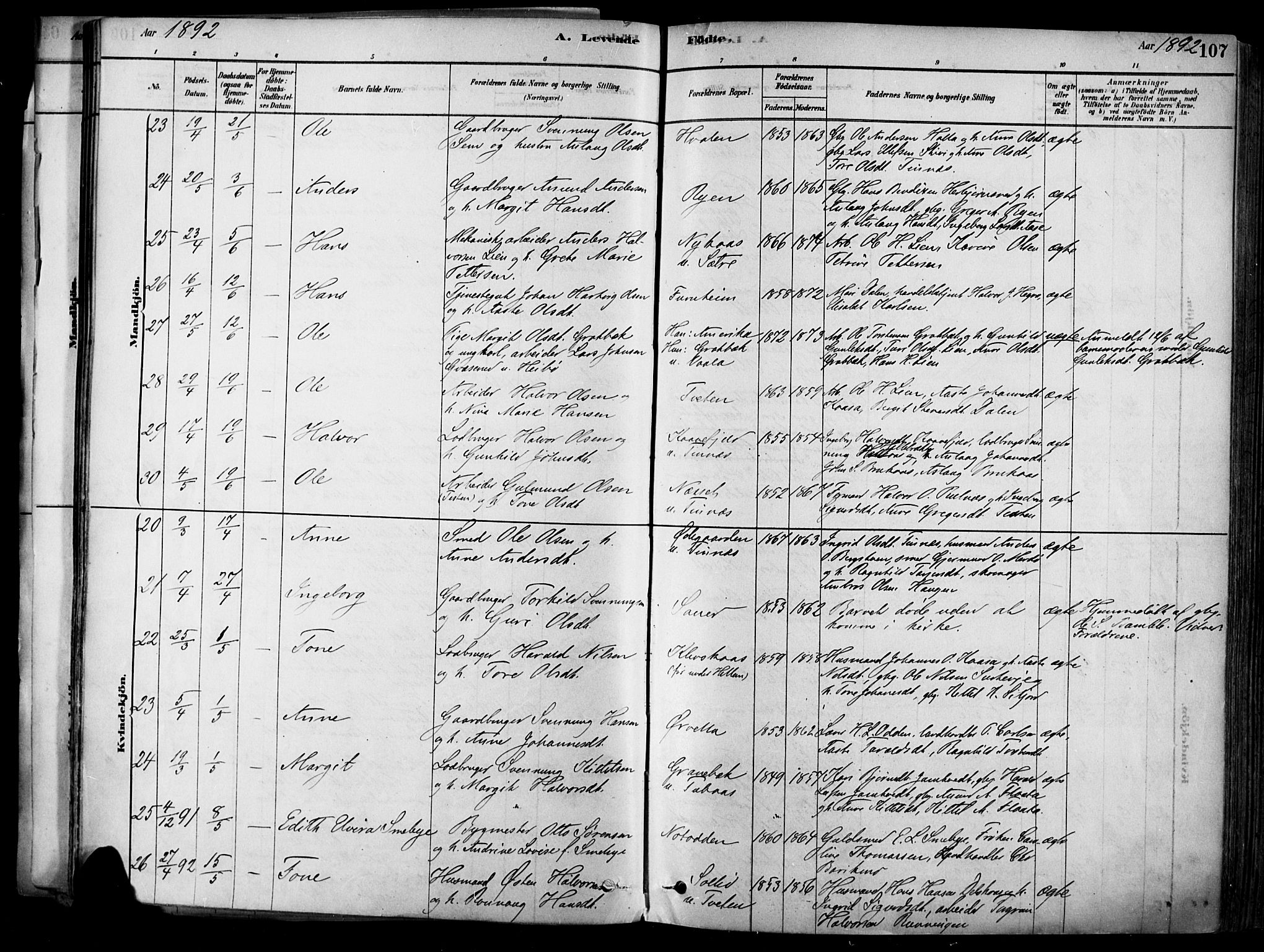 Heddal kirkebøker, AV/SAKO-A-268/F/Fa/L0008: Parish register (official) no. I 8, 1878-1903, p. 107