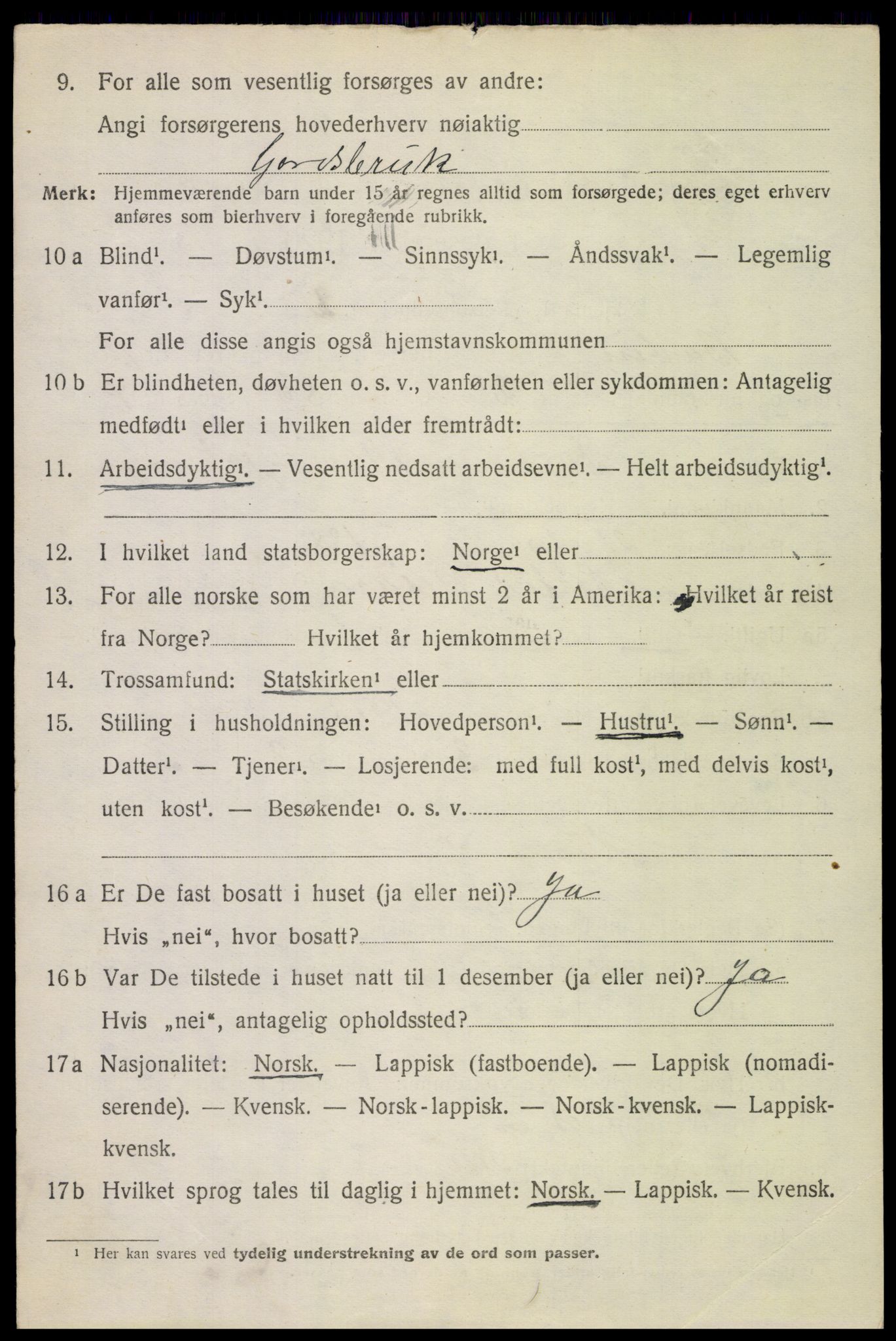 SAT, 1920 census for Bodin, 1920, p. 8439