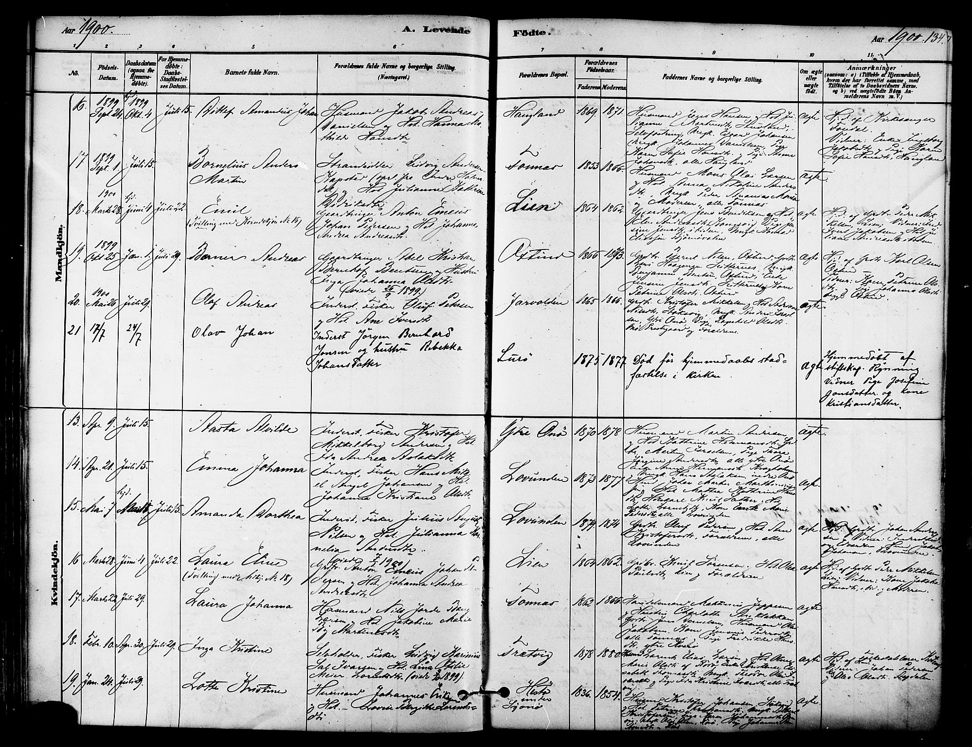 Ministerialprotokoller, klokkerbøker og fødselsregistre - Nordland, AV/SAT-A-1459/839/L0568: Parish register (official) no. 839A05, 1880-1902, p. 134