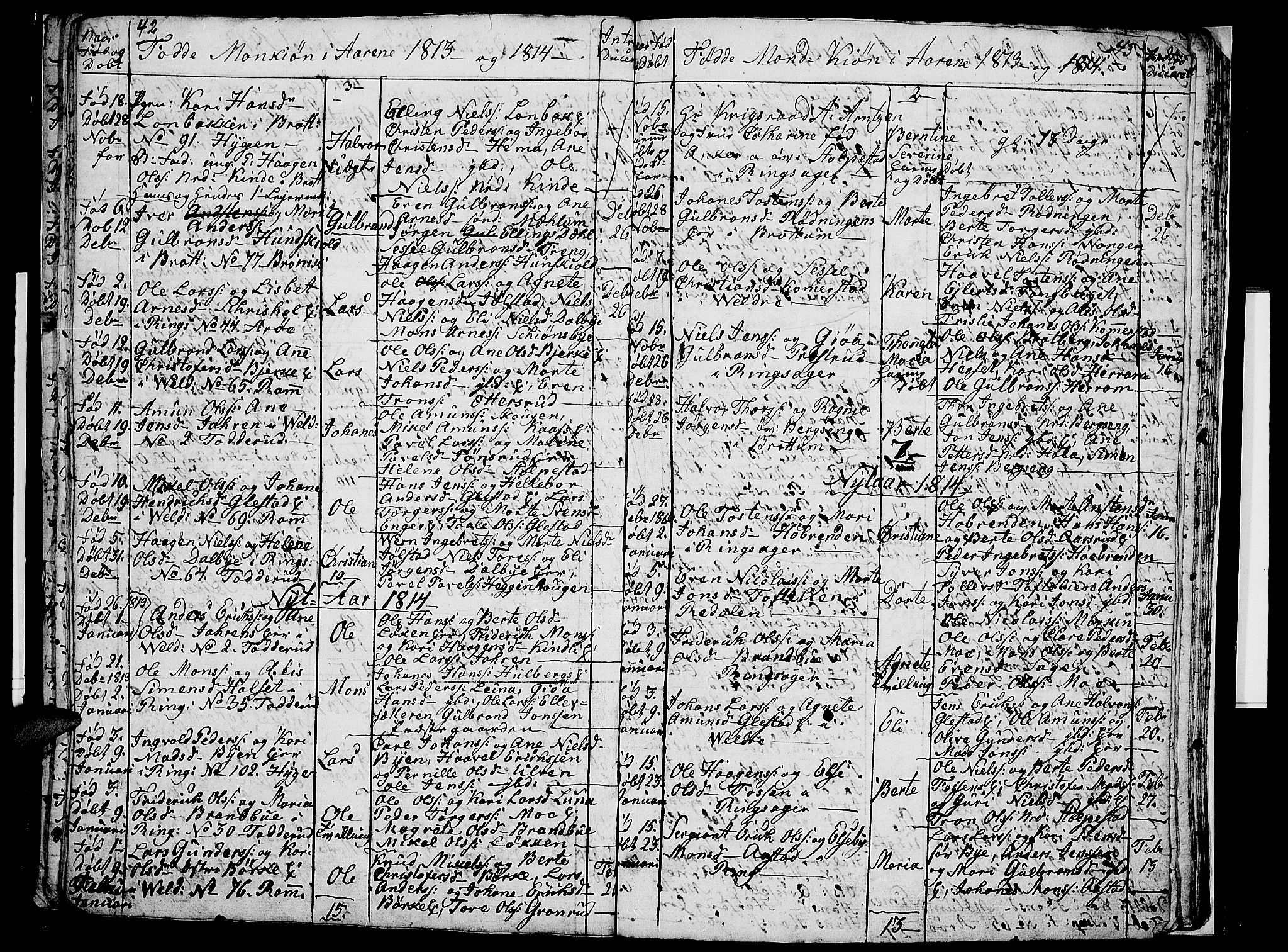 Ringsaker prestekontor, AV/SAH-PREST-014/I/Ia/L0005/0009: Parish register draft no. 5.9, 1811-1814, p. 44-45