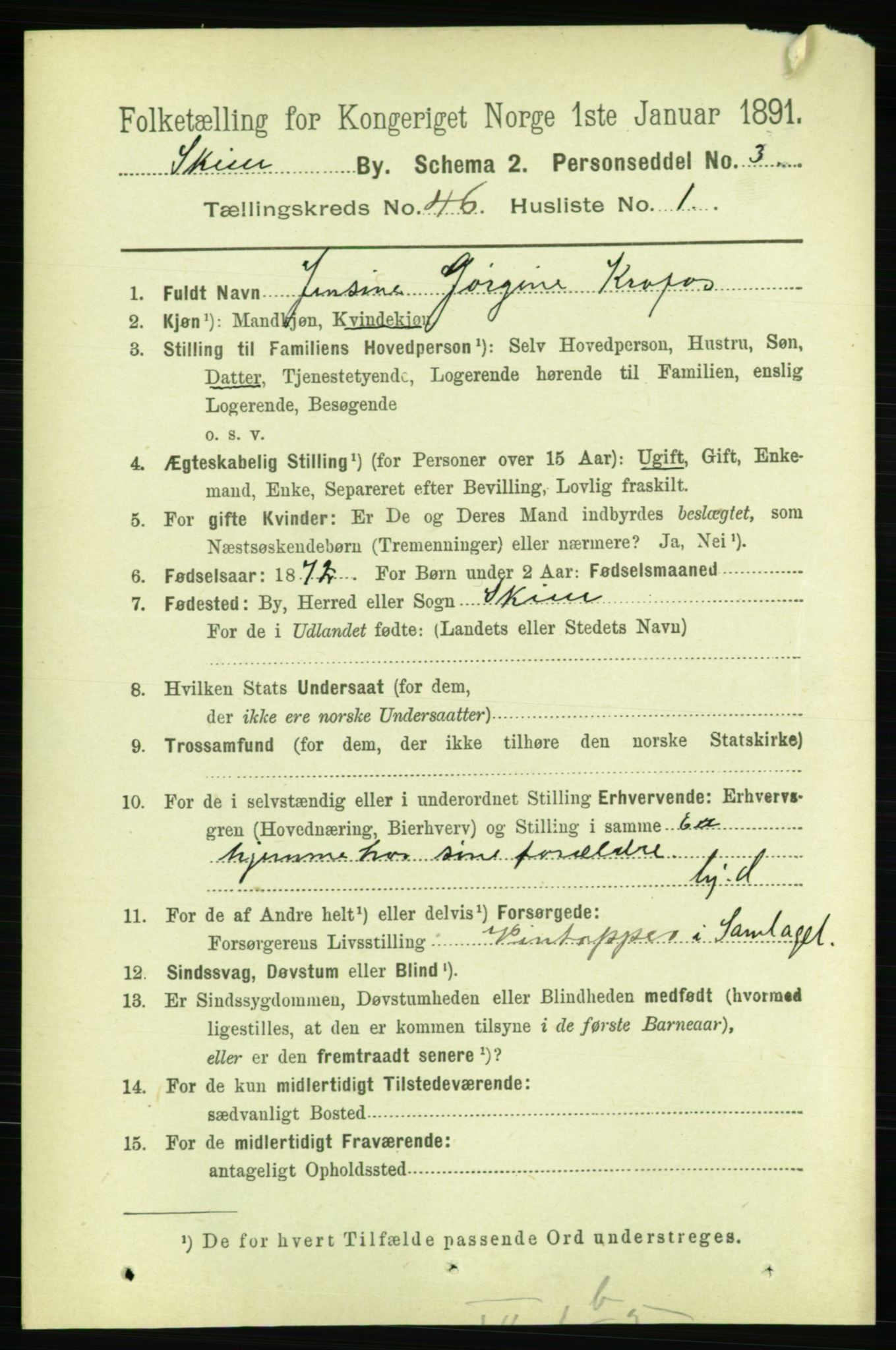 RA, 1891 census for 0806 Skien, 1891, p. 9139