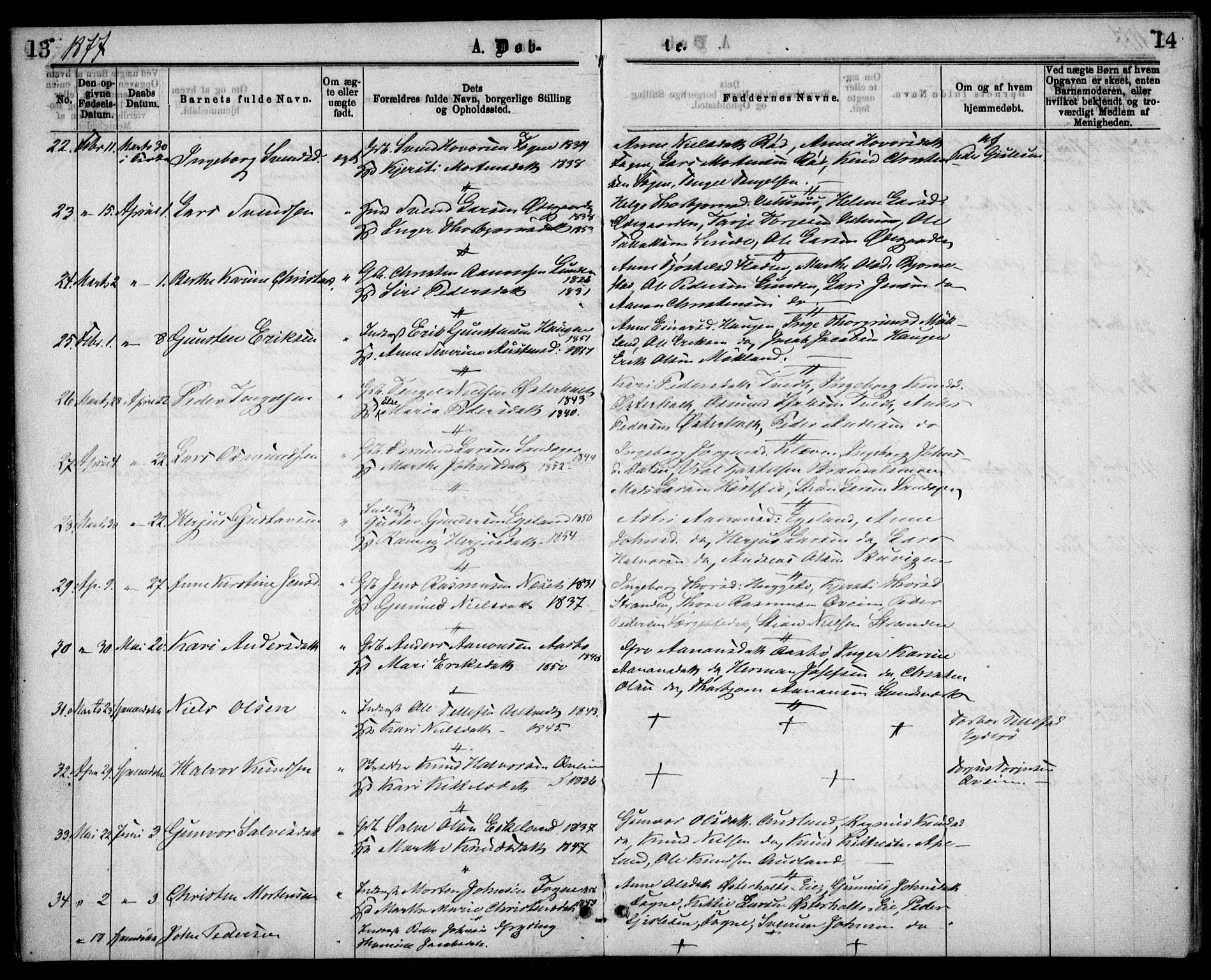 Gjerstad sokneprestkontor, AV/SAK-1111-0014/F/Fa/Faa/L0008: Parish register (official) no. A 8, 1876-1884, p. 13-14