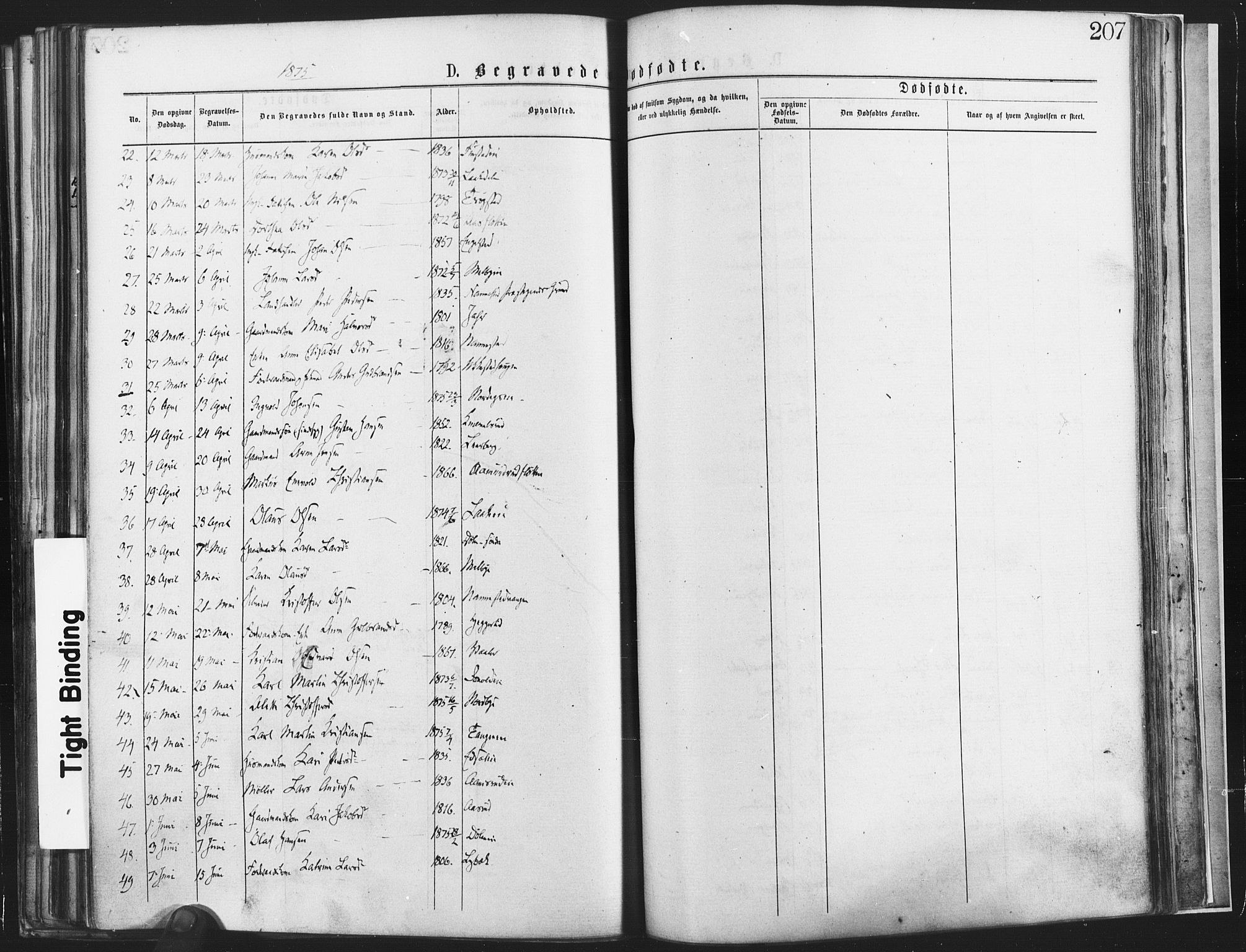 Nannestad prestekontor Kirkebøker, SAO/A-10414a/F/Fa/L0013: Parish register (official) no. I 13, 1873-1880, p. 207