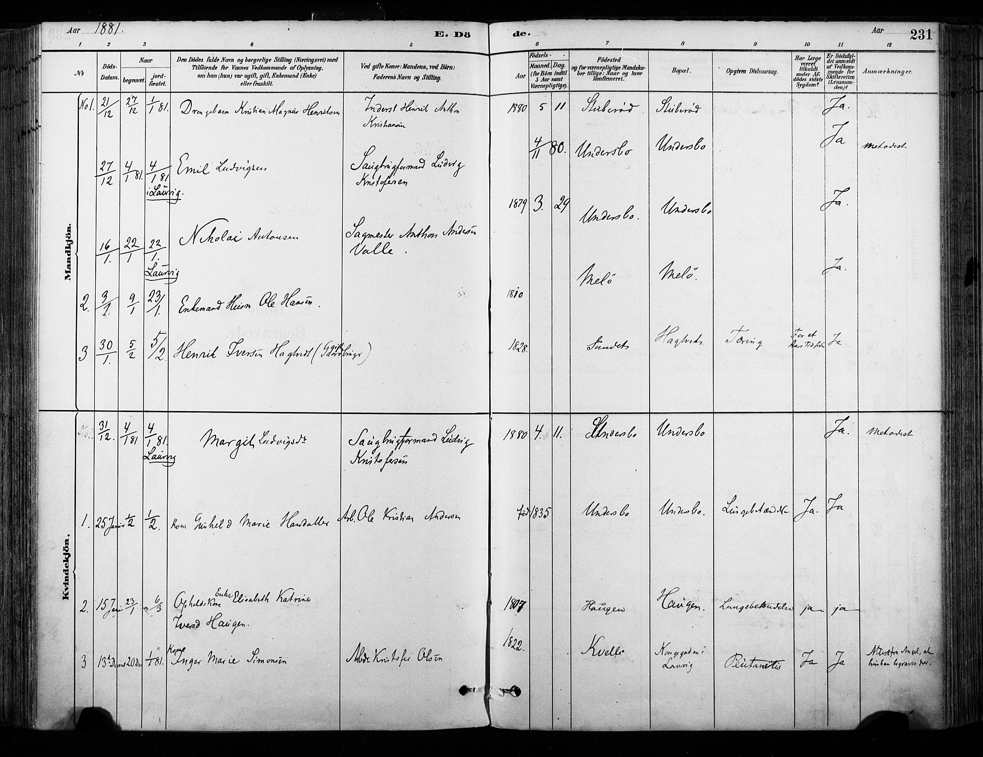 Hedrum kirkebøker, AV/SAKO-A-344/F/Fa/L0009: Parish register (official) no. I 9, 1881-1903, p. 231