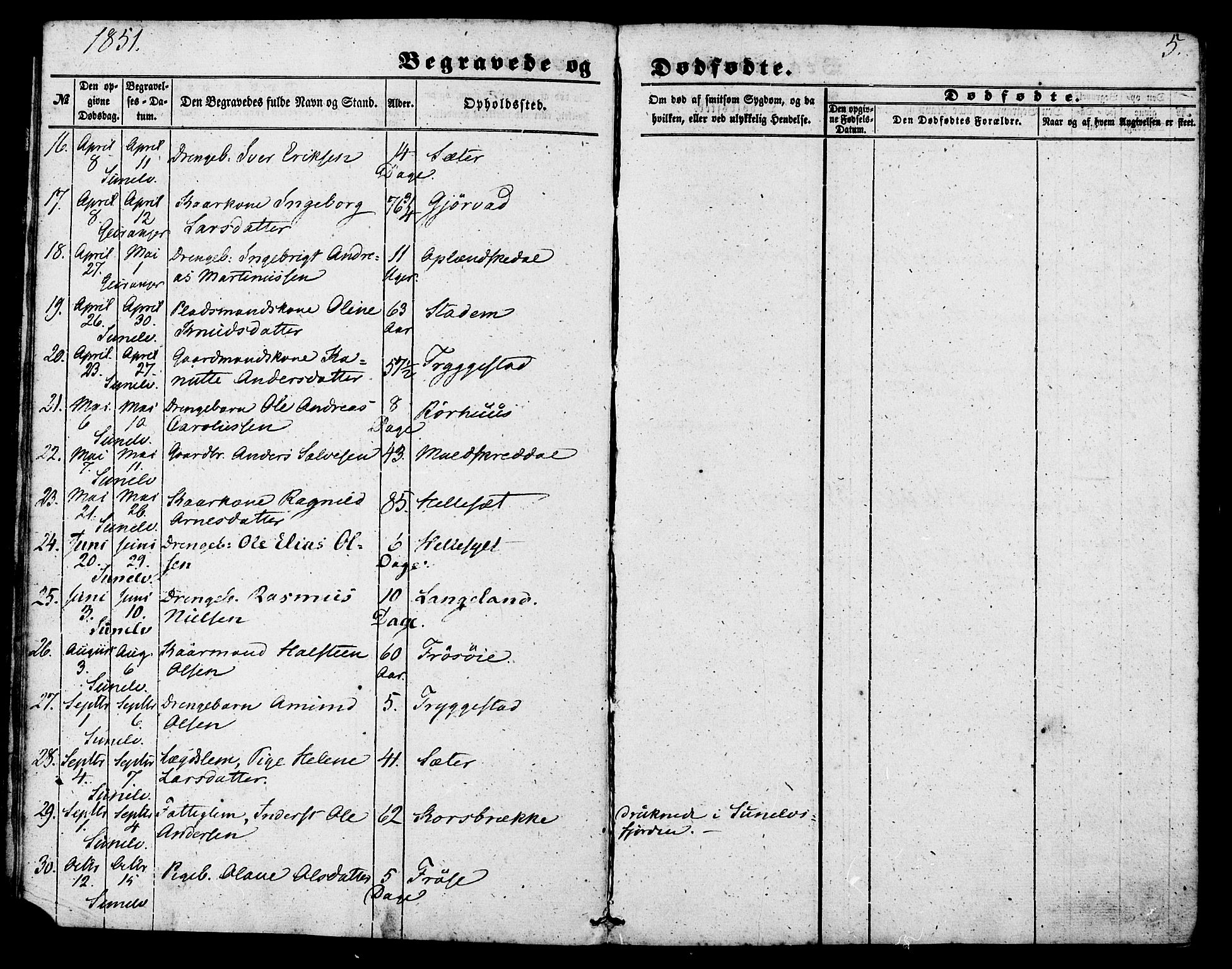 Ministerialprotokoller, klokkerbøker og fødselsregistre - Møre og Romsdal, AV/SAT-A-1454/517/L0223: Parish register (official) no. 517A03, 1850-1870, p. 5