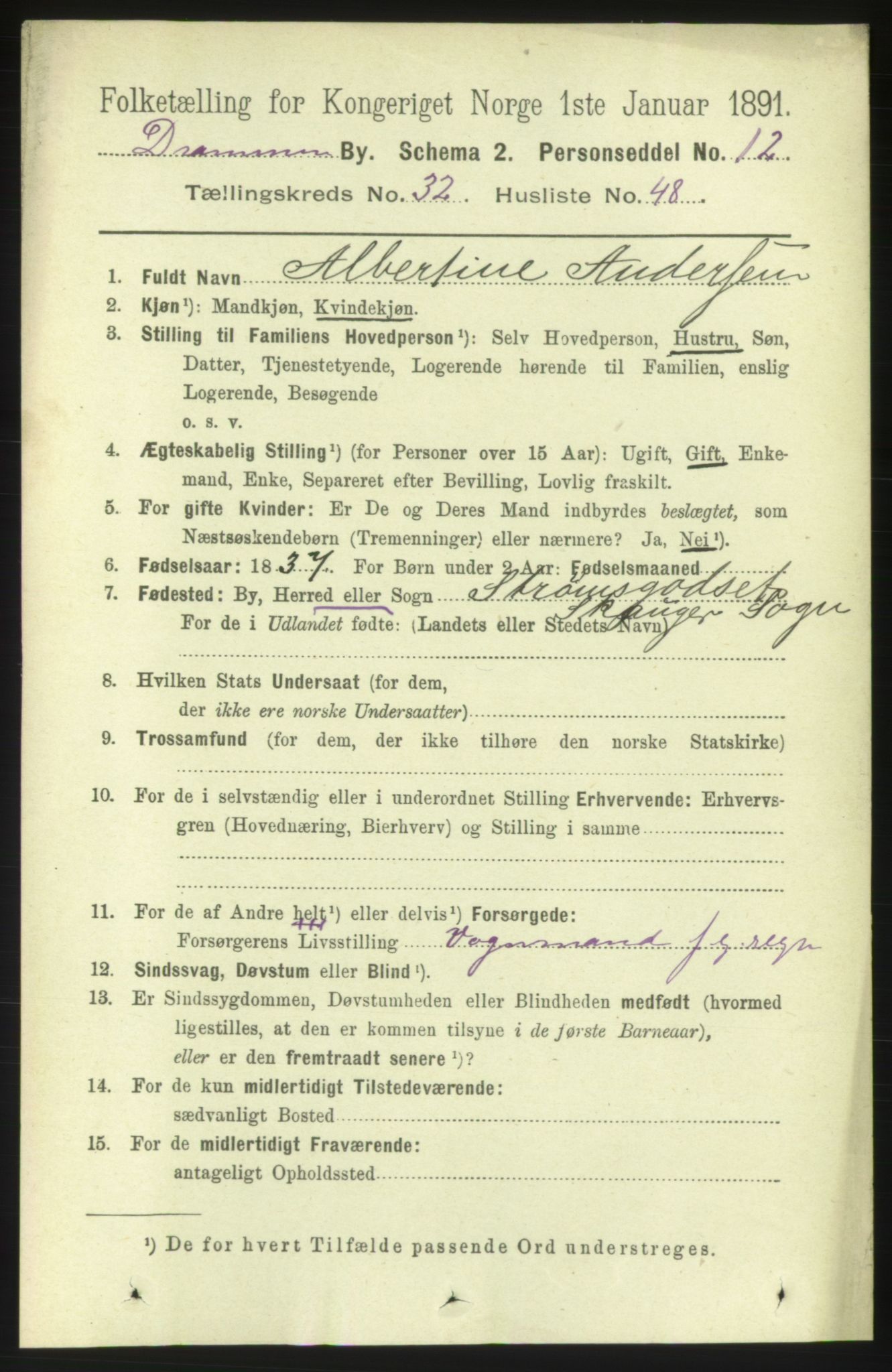 RA, 1891 census for 0602 Drammen, 1891, p. 19963