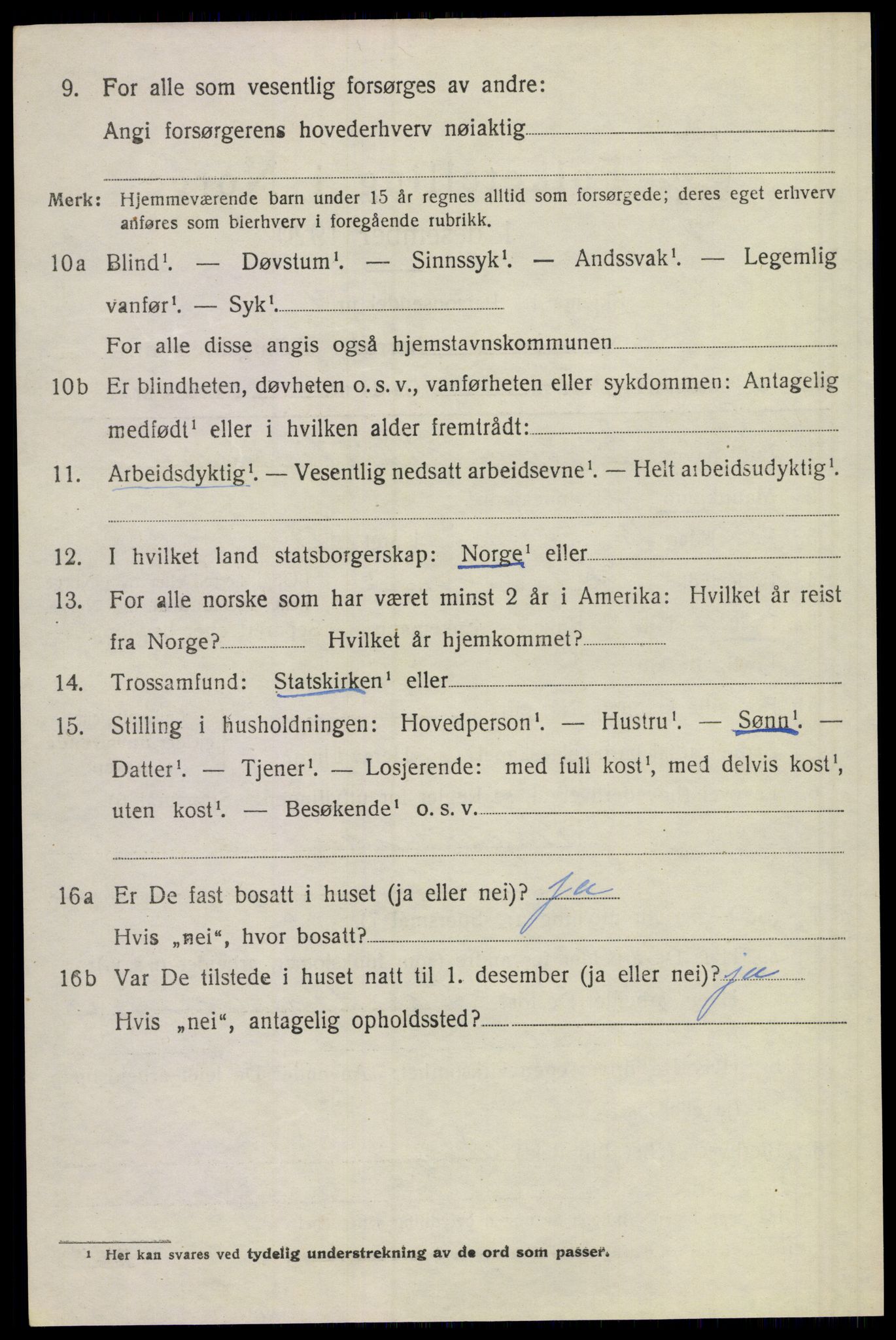 SAKO, 1920 census for Lier, 1920, p. 4511