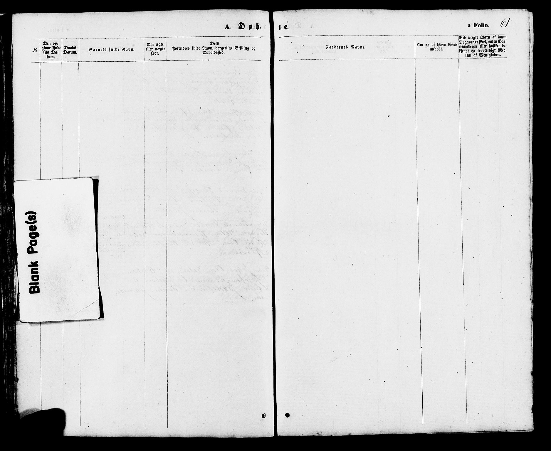 Holum sokneprestkontor, SAK/1111-0022/F/Fb/Fba/L0004: Parish register (copy) no. B 4, 1867-1890, p. 61