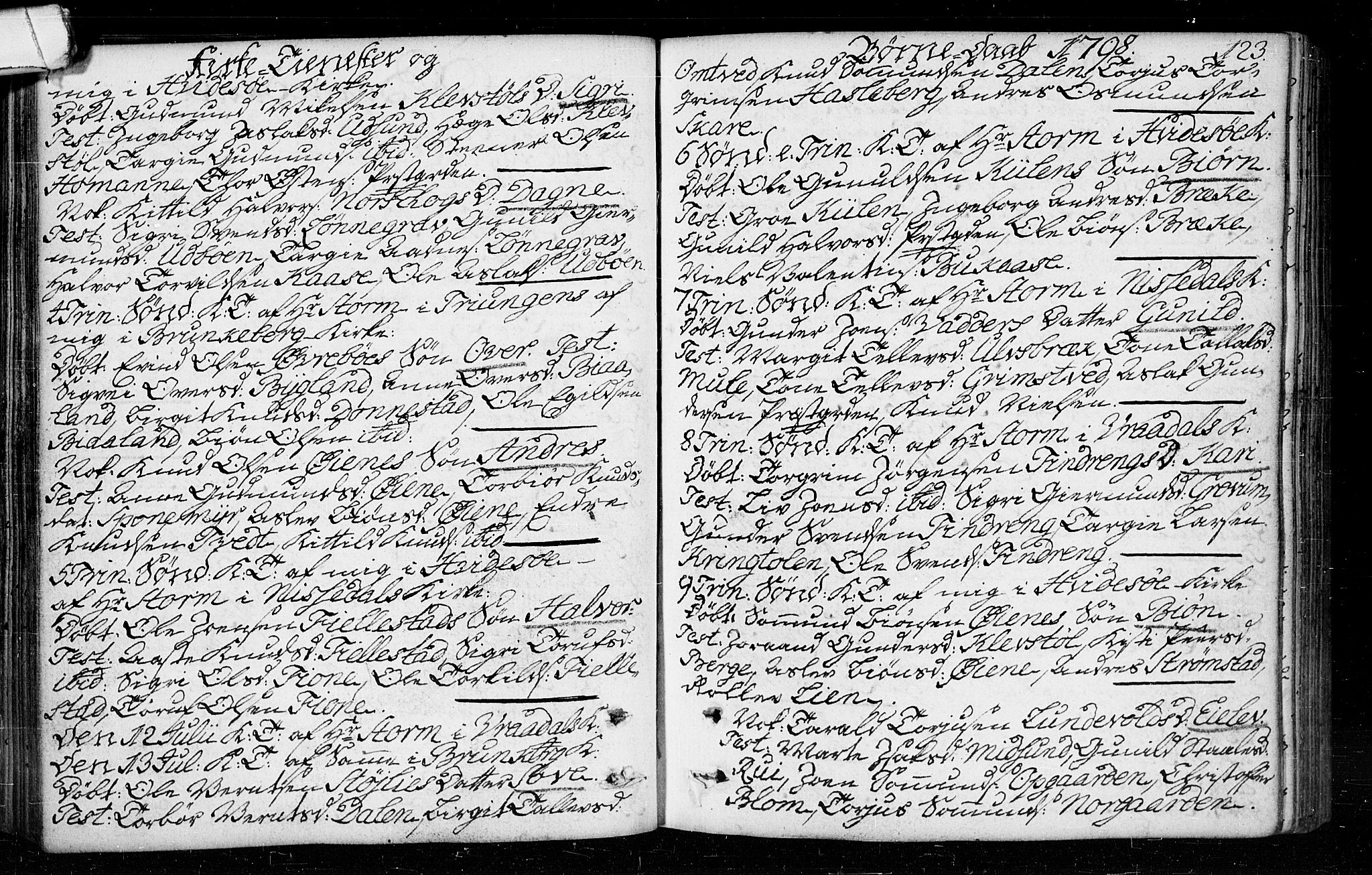 Kviteseid kirkebøker, SAKO/A-276/F/Fa/L0003: Parish register (official) no. I 3, 1787-1799, p. 123