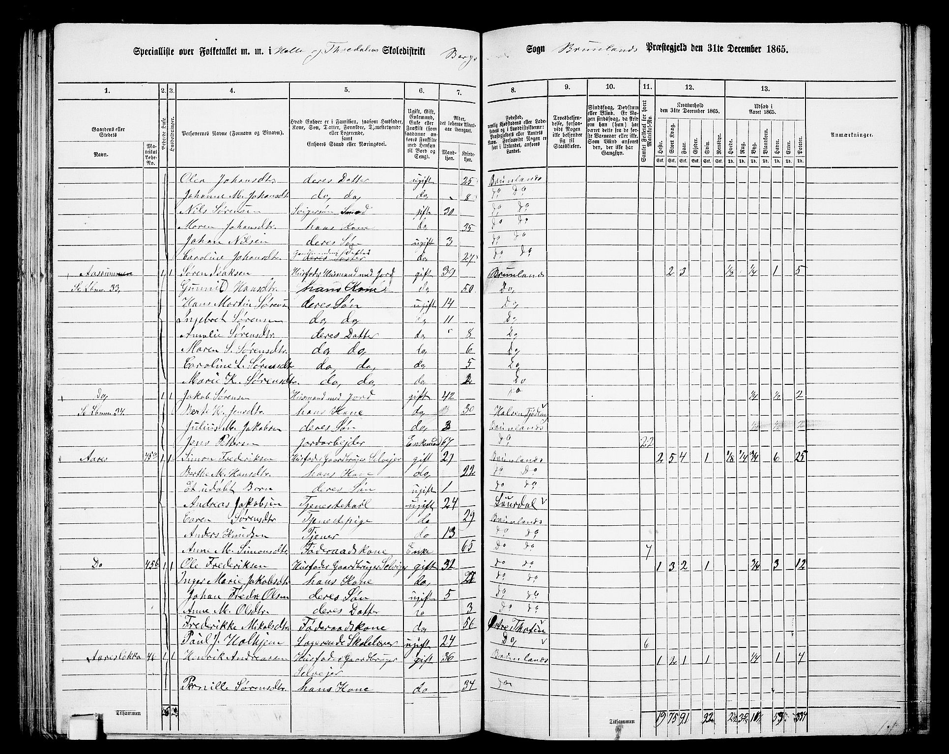 RA, 1865 census for Brunlanes, 1865, p. 110