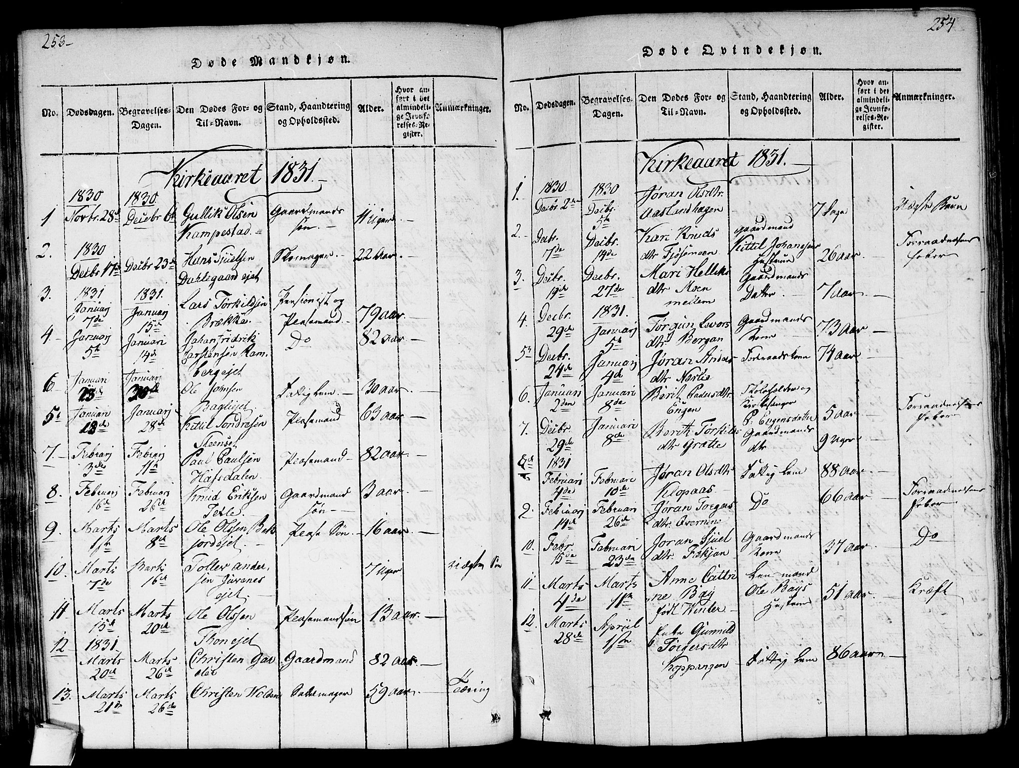 Flesberg kirkebøker, SAKO/A-18/G/Ga/L0001: Parish register (copy) no. I 1, 1816-1834, p. 253-254